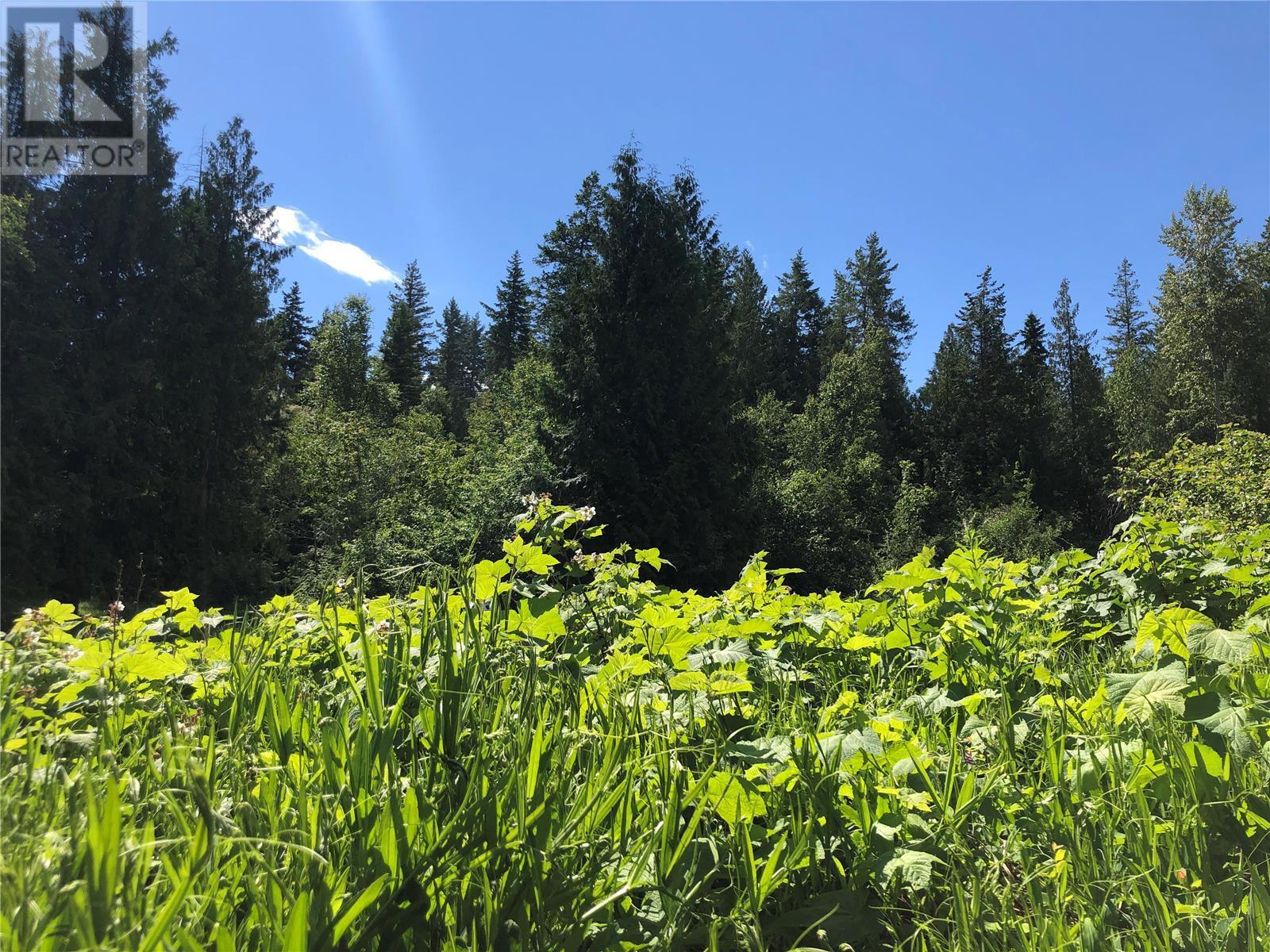 50 Valecairn Road, Enderby, British Columbia  V4Y 4L9 - Photo 7 - 10345369