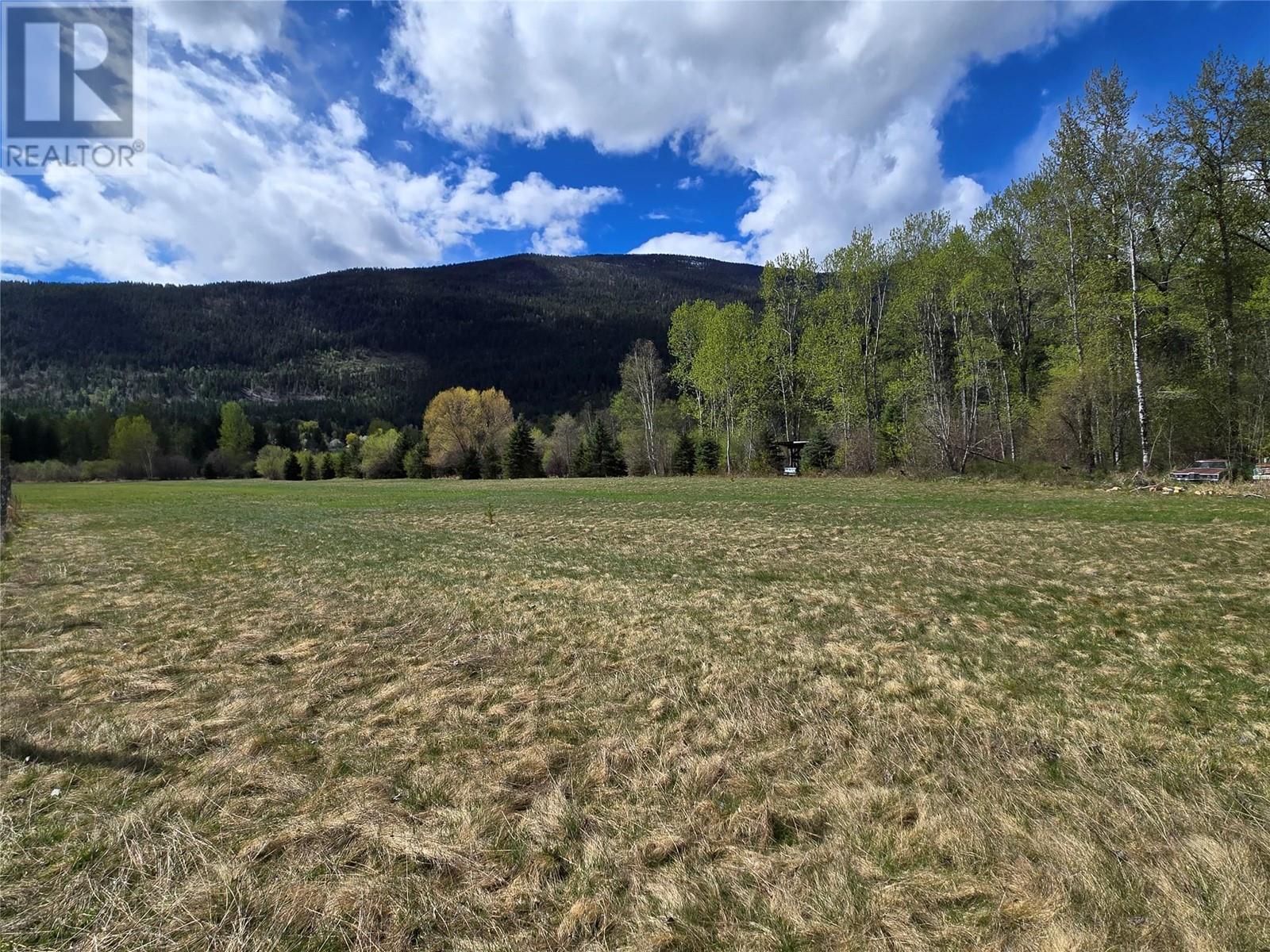 Parcel A Picard Road, Appledale, British Columbia  V0G 2J0 - Photo 9 - 10345863