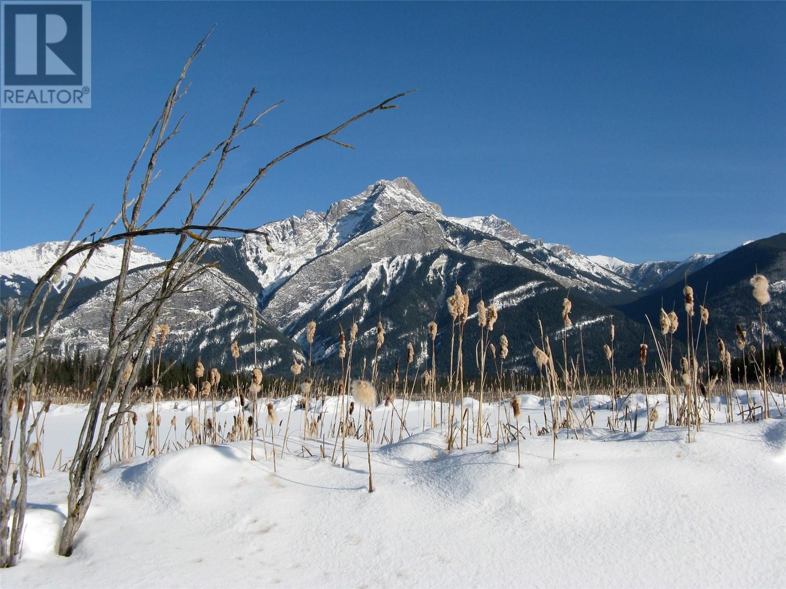2304 Holmes-Deakin Road, Golden, British Columbia  V0A 1H1 - Photo 34 - 10345886