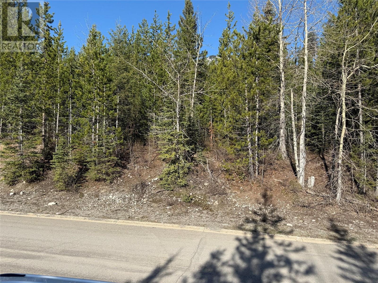 16 Driftwood Place, Elkford, British Columbia  V0B 1H0 - Photo 3 - 10345837