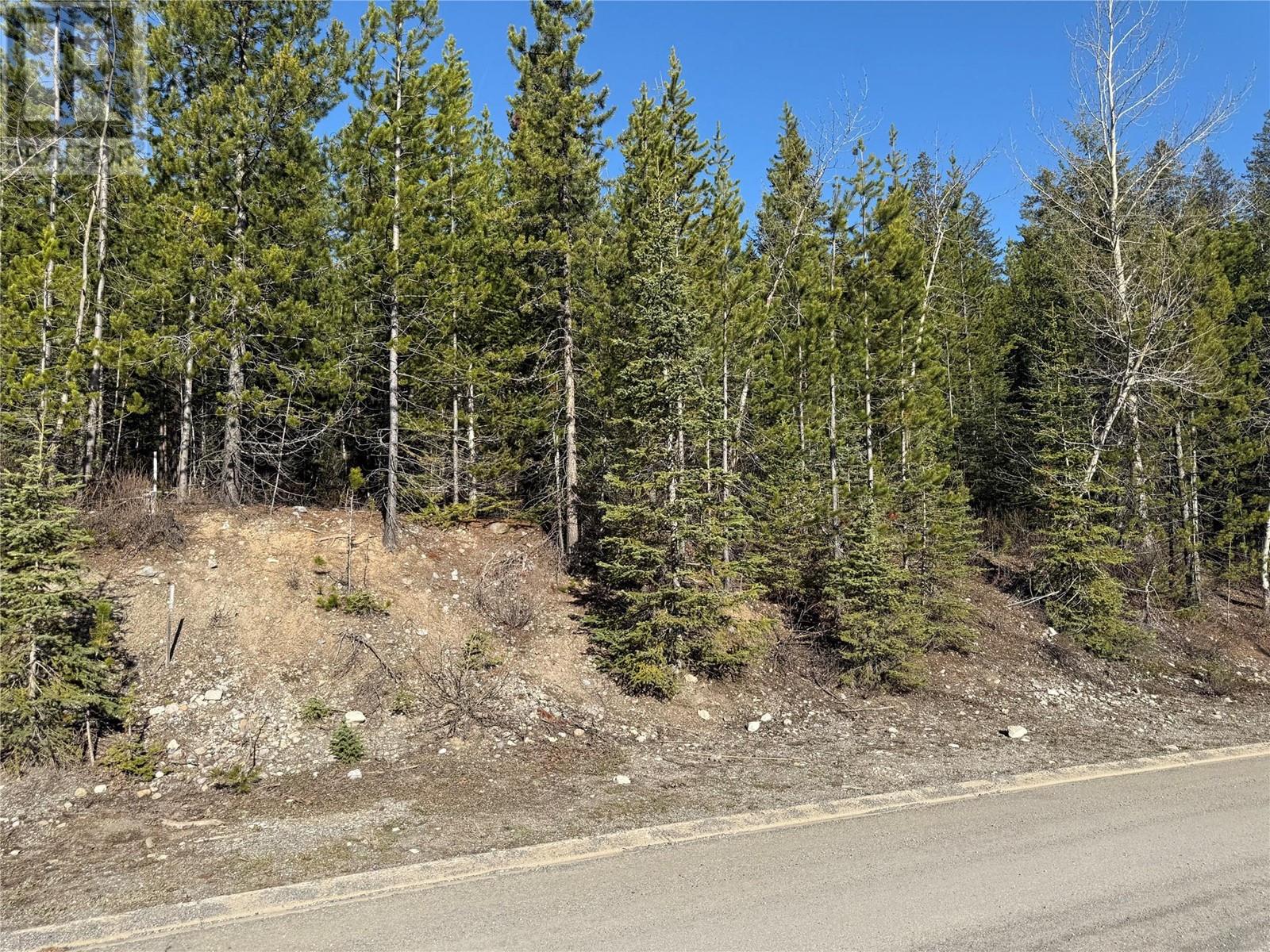 16 Driftwood Place, Elkford, British Columbia  V0B 1H0 - Photo 4 - 10345837