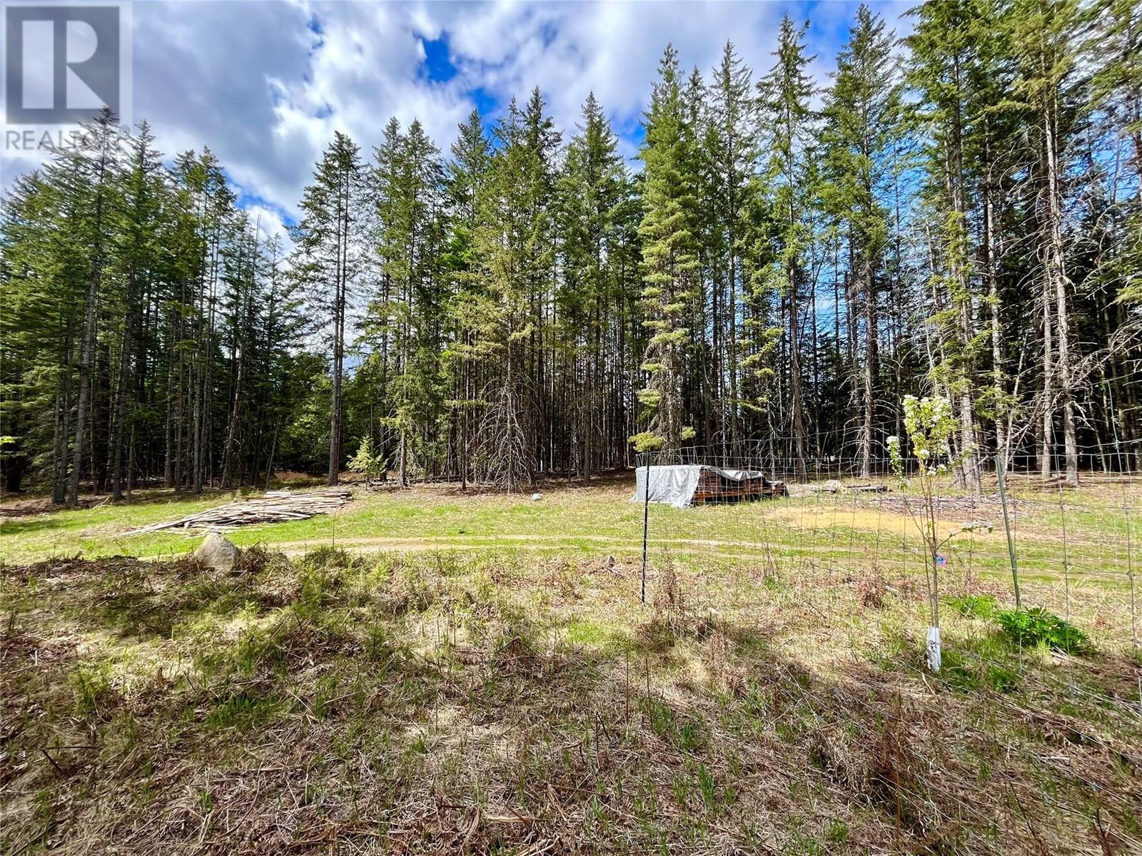 864 Bartley Road, Nakusp, British Columbia  V0G 1R0 - Photo 18 - 10345766