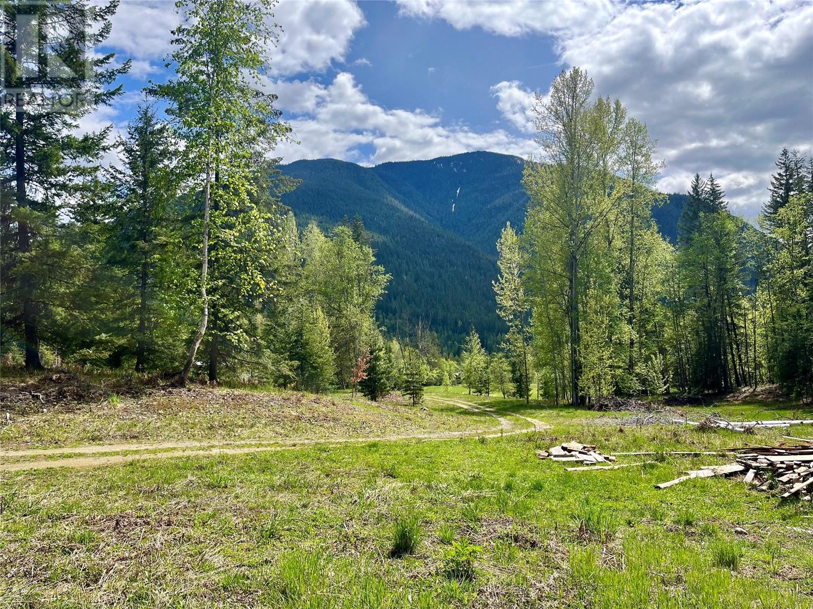 864 Bartley Road, Nakusp, British Columbia  V0G 1R0 - Photo 22 - 10345766
