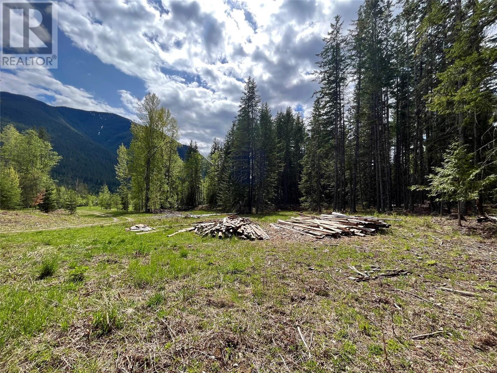 864 Bartley Road, Nakusp, British Columbia  V0G 1R0 - Photo 23 - 10345766