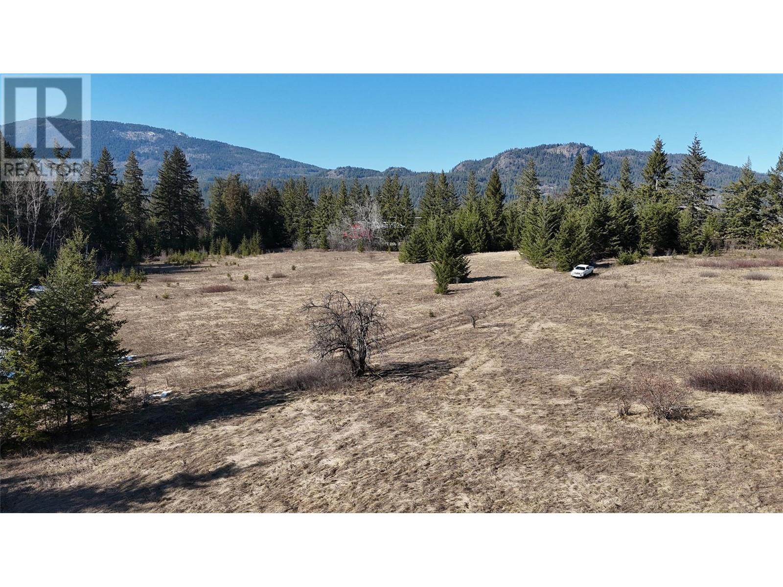 937 Tappen Valley Road Lot# 2, Tappen, British Columbia  V0E 2X3 - Photo 10 - 10345866