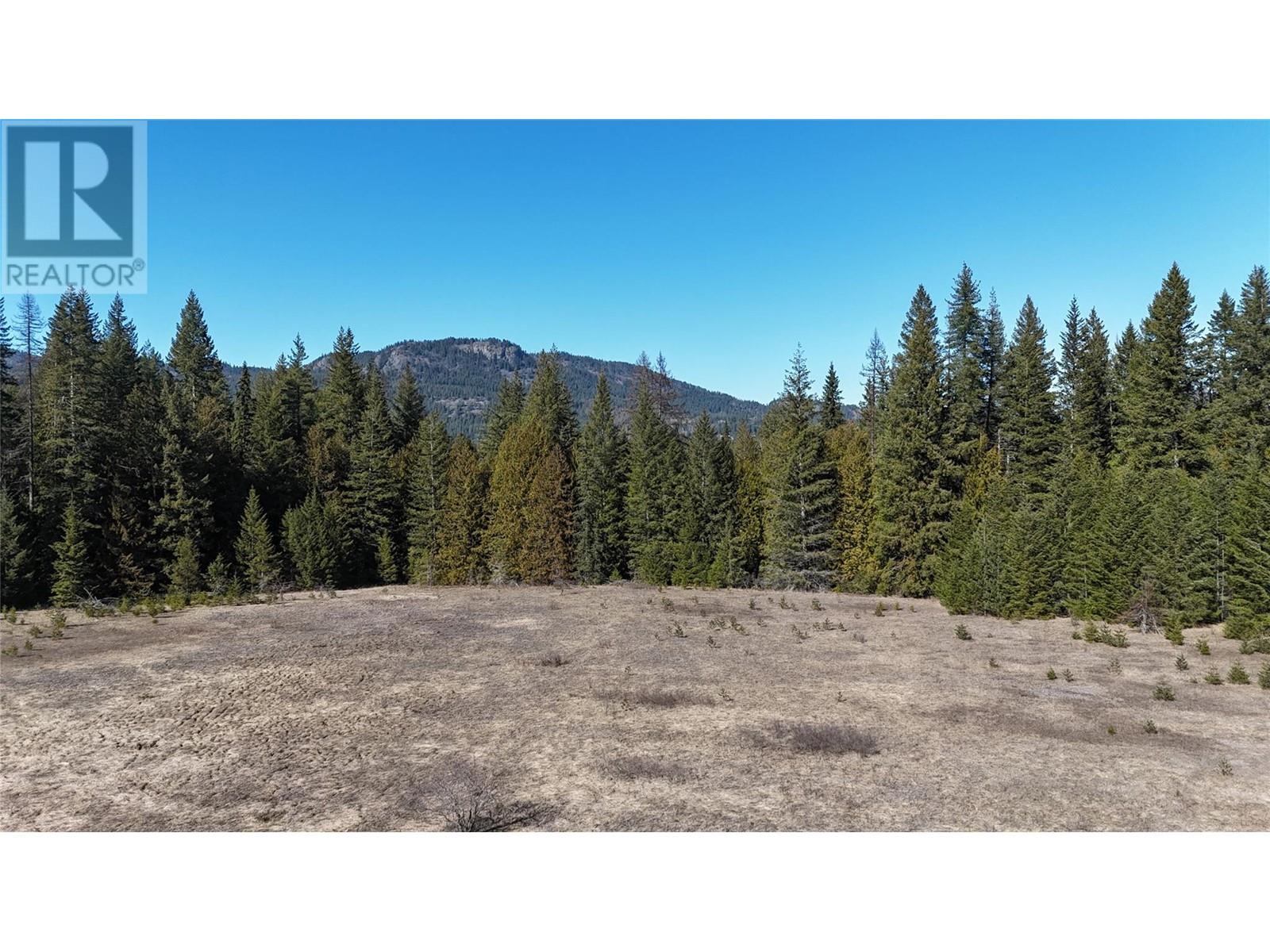 937 Tappen Valley Road Lot# 2, Tappen, British Columbia  V0E 2X3 - Photo 11 - 10345866