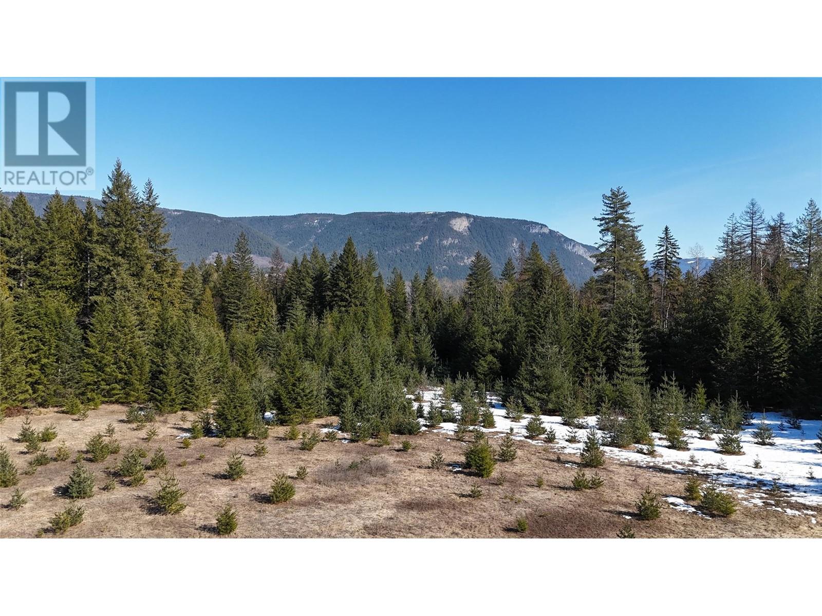 937 Tappen Valley Road Lot# 2, Tappen, British Columbia  V0E 2X3 - Photo 12 - 10345866