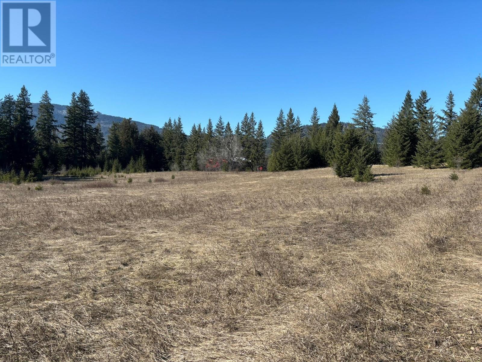 937 Tappen Valley Road Lot# 2, Tappen, British Columbia  V0E 2X3 - Photo 13 - 10345866