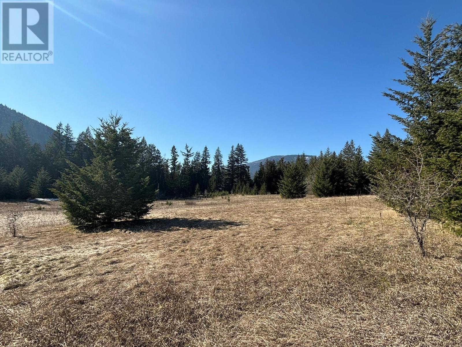 937 Tappen Valley Road Lot# 2, Tappen, British Columbia  V0E 2X3 - Photo 14 - 10345866