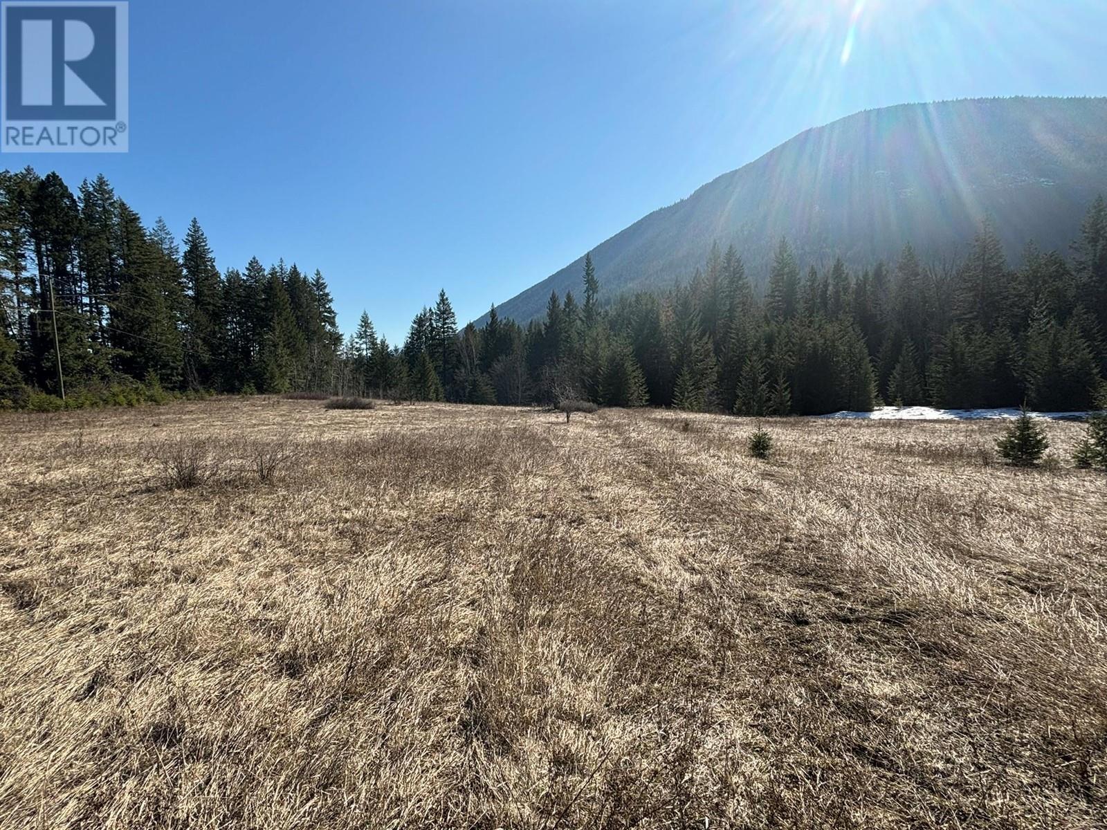 937 Tappen Valley Road Lot# 2, Tappen, British Columbia  V0E 2X3 - Photo 15 - 10345866