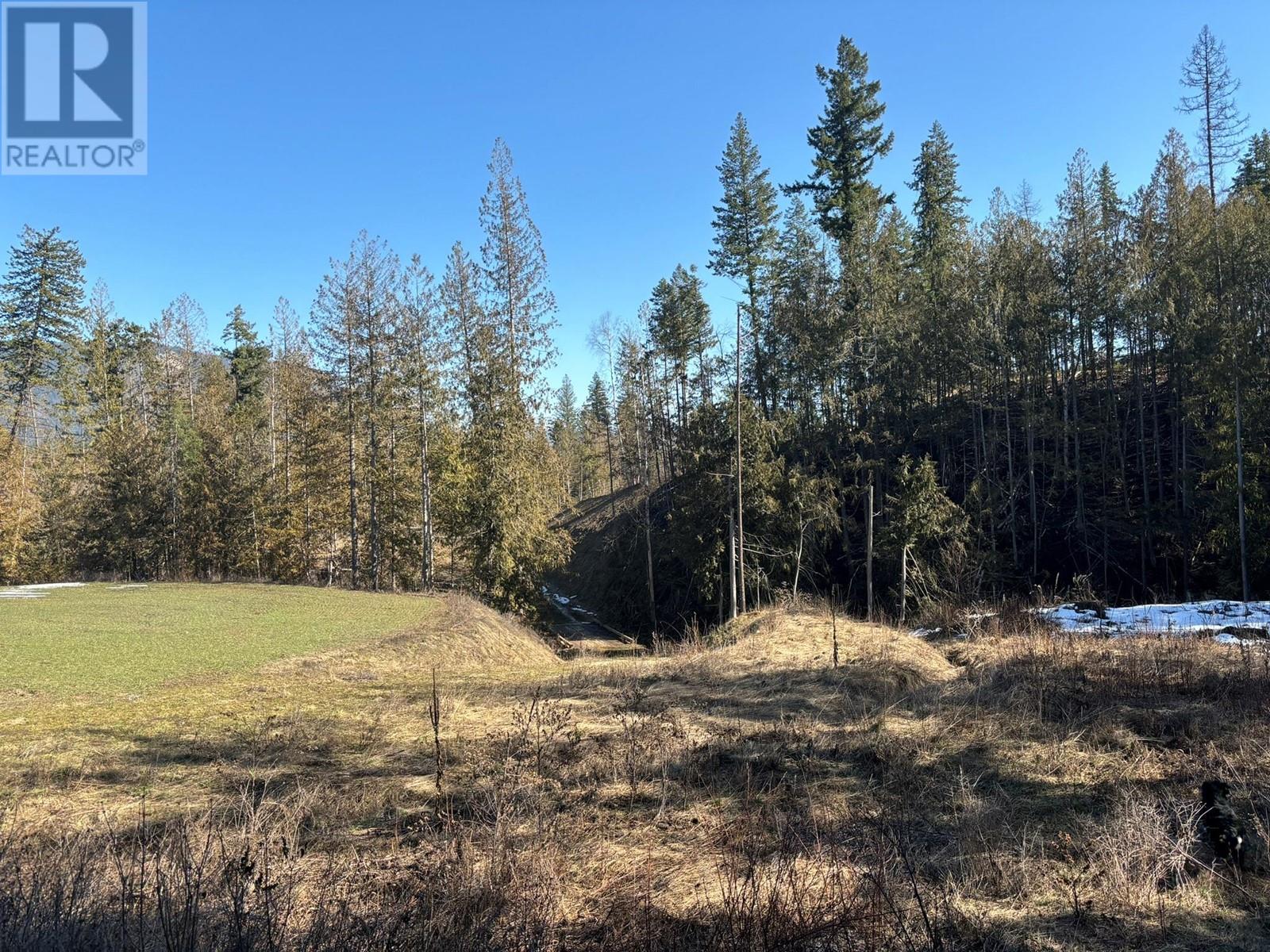 937 Tappen Valley Road Lot# 2, Tappen, British Columbia  V0E 2X3 - Photo 17 - 10345866