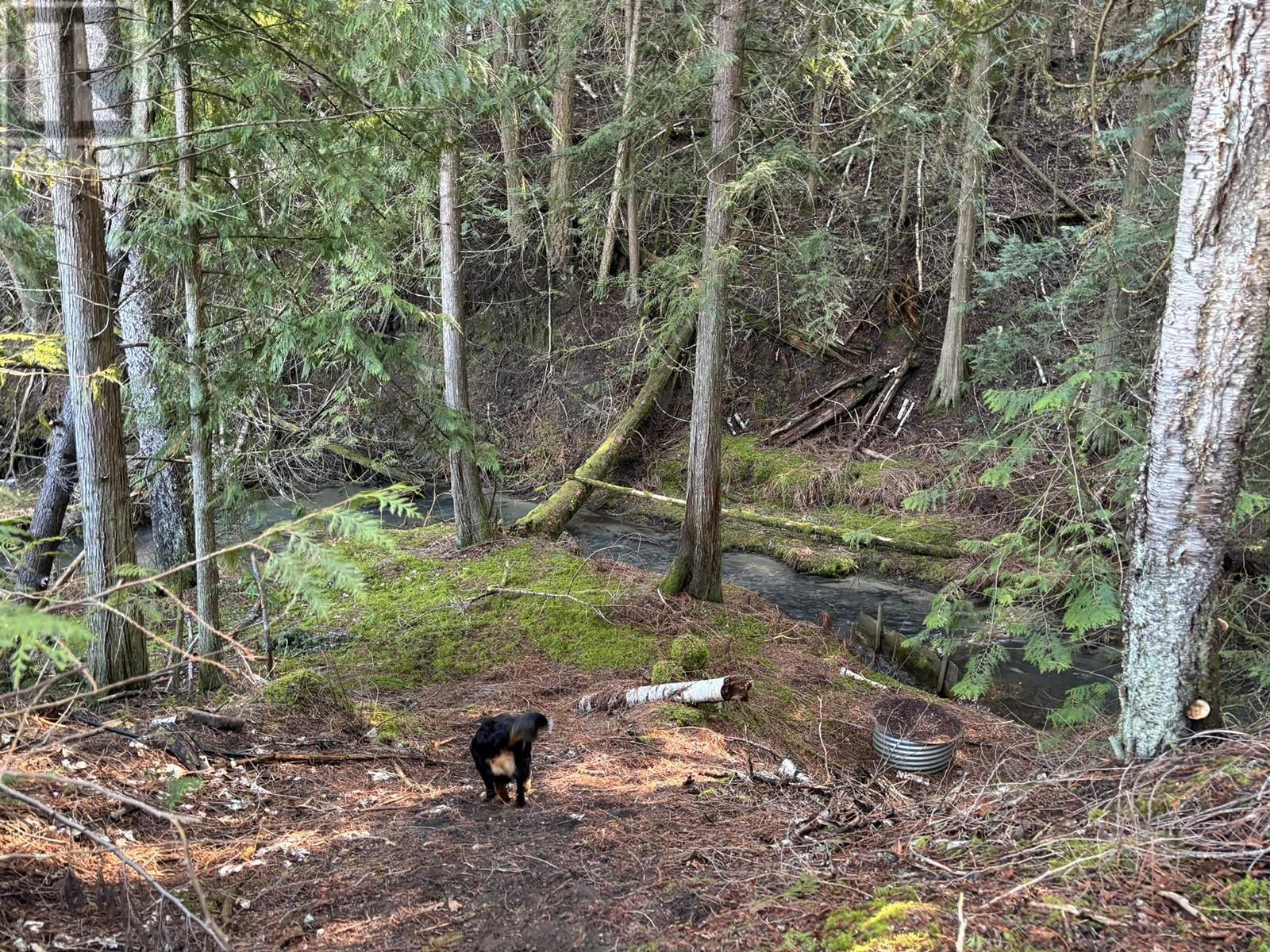 937 Tappen Valley Road Lot# 2, Tappen, British Columbia  V0E 2X3 - Photo 18 - 10345866