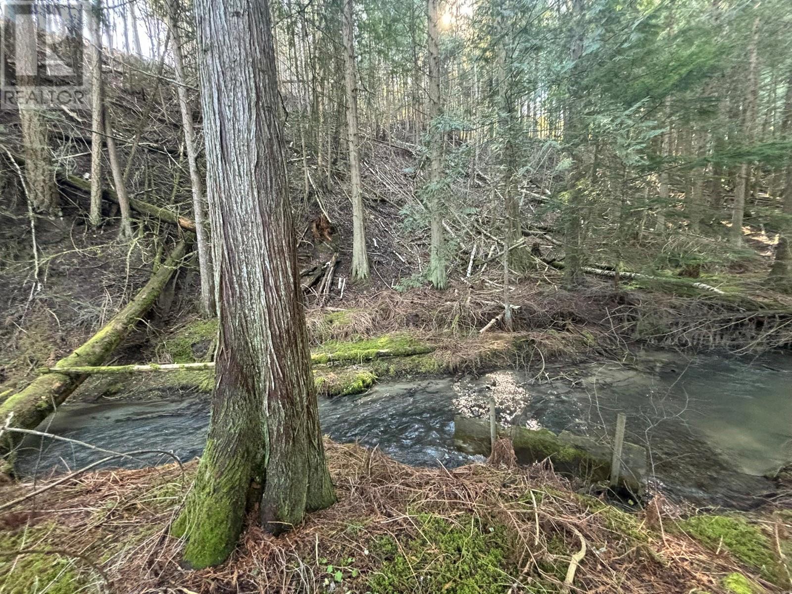 937 Tappen Valley Road Lot# 2, Tappen, British Columbia  V0E 2X3 - Photo 19 - 10345866