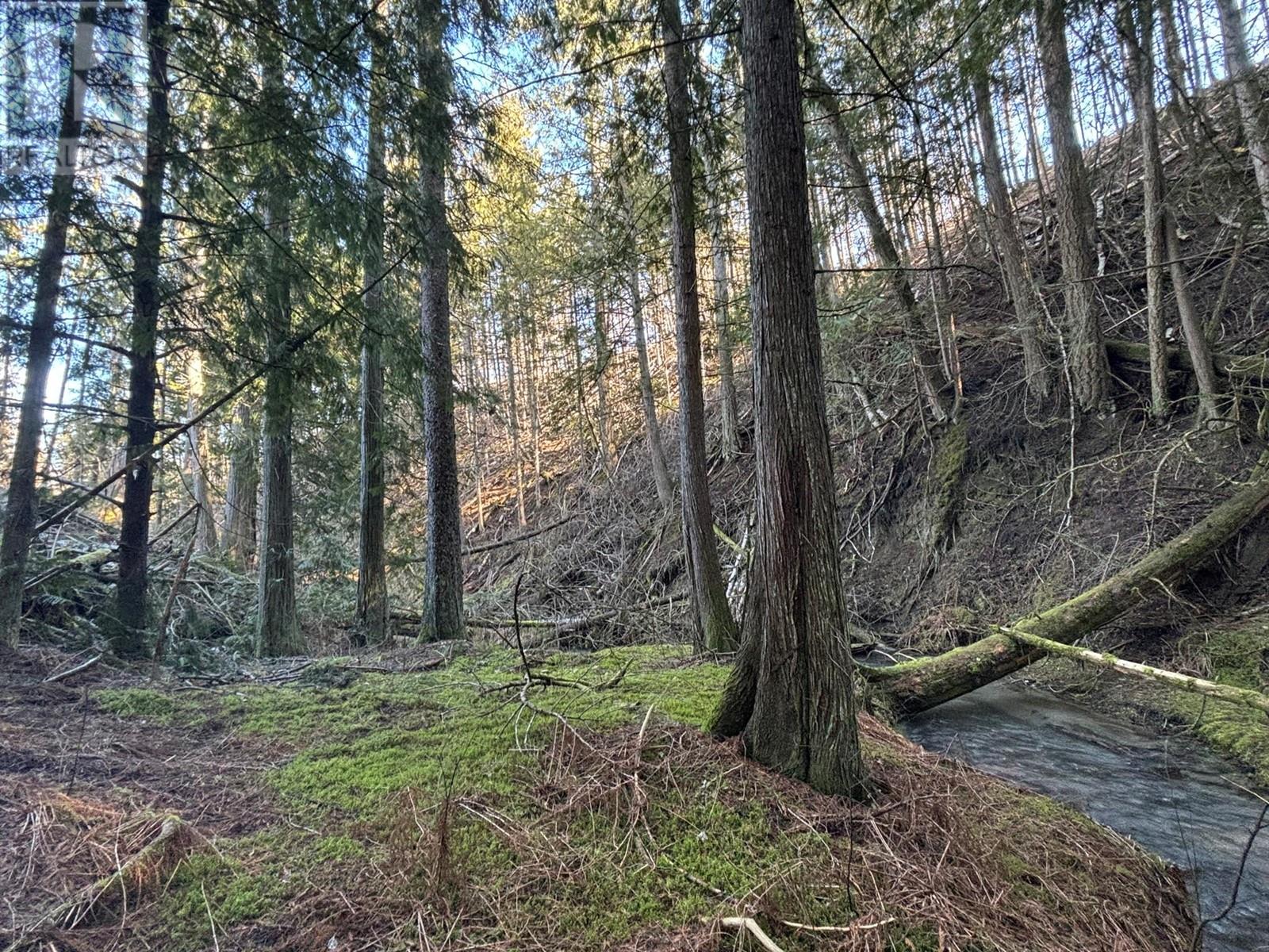 937 Tappen Valley Road Lot# 2, Tappen, British Columbia  V0E 2X3 - Photo 21 - 10345866