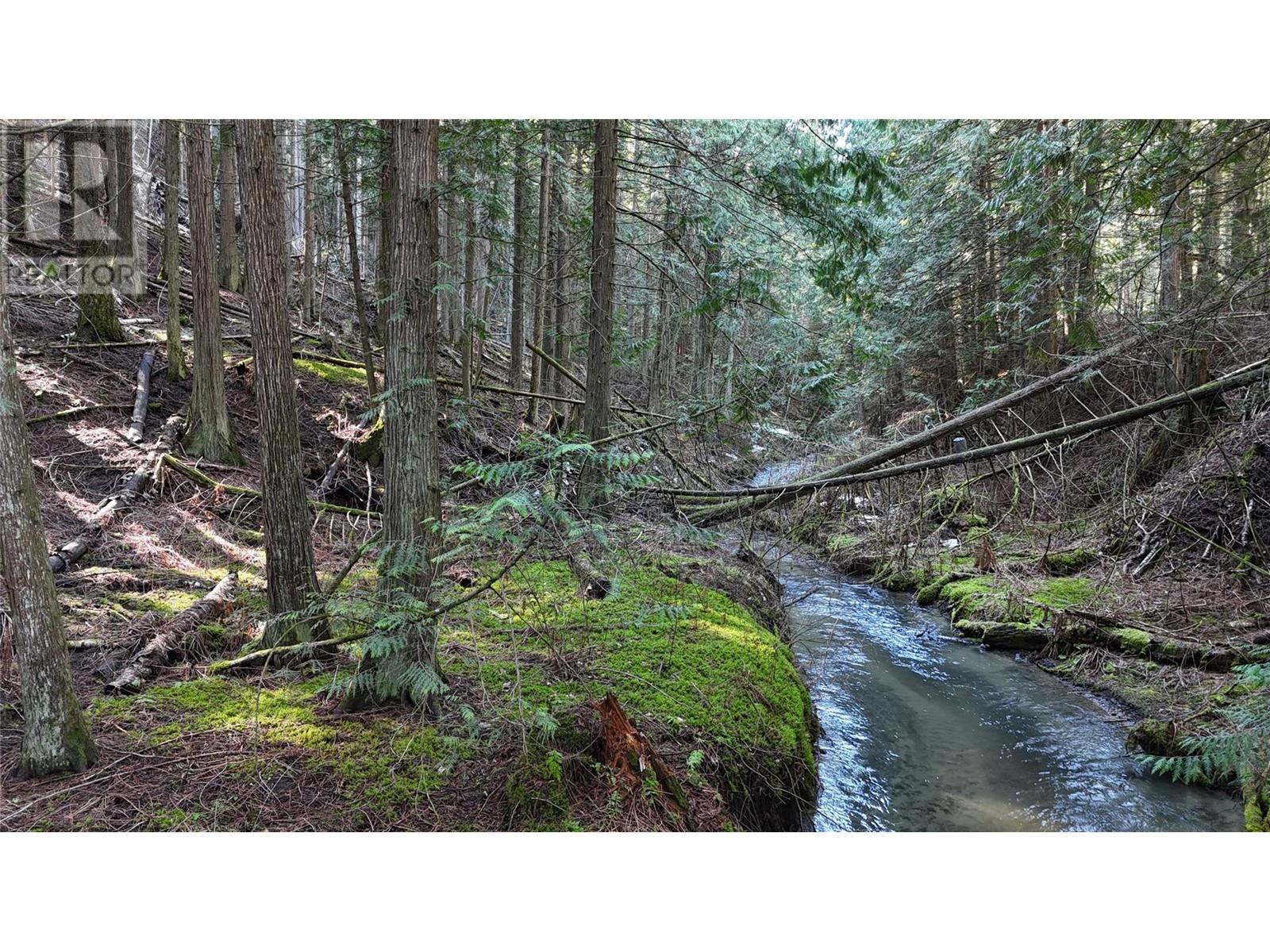 937 Tappen Valley Road Lot# 2, Tappen, British Columbia  V0E 2X3 - Photo 23 - 10345866