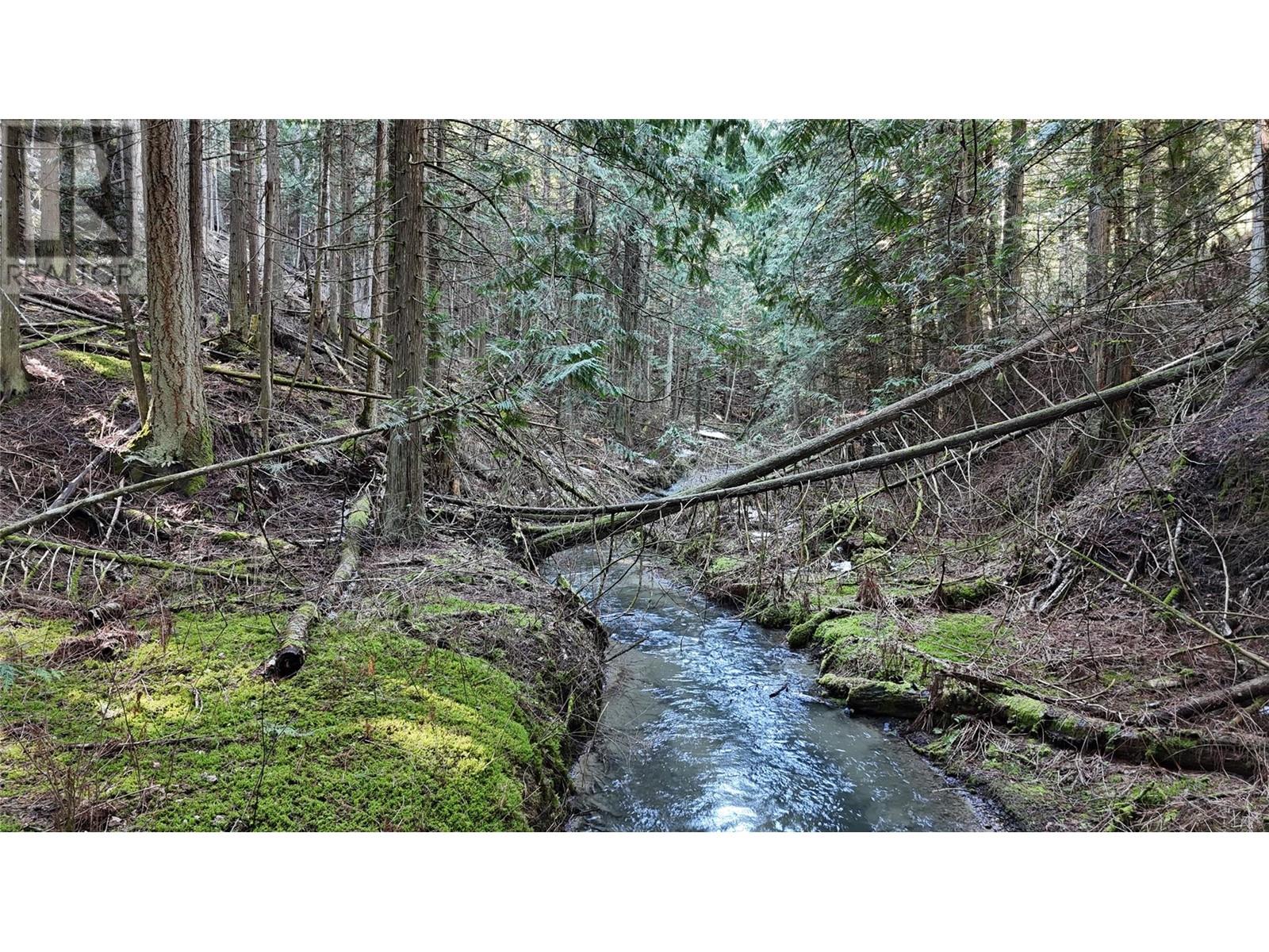 937 Tappen Valley Road Lot# 2, Tappen, British Columbia  V0E 2X3 - Photo 24 - 10345866
