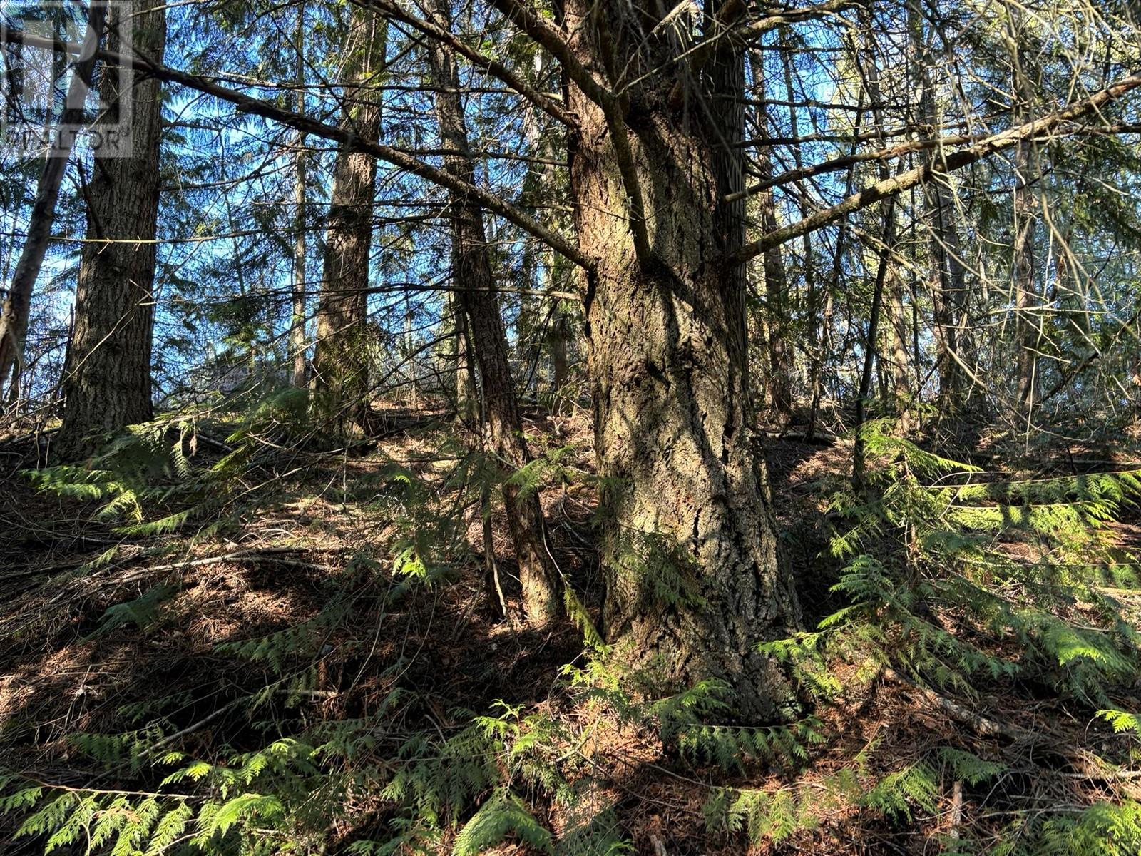 937 Tappen Valley Road Lot# 2, Tappen, British Columbia  V0E 2X3 - Photo 26 - 10345866