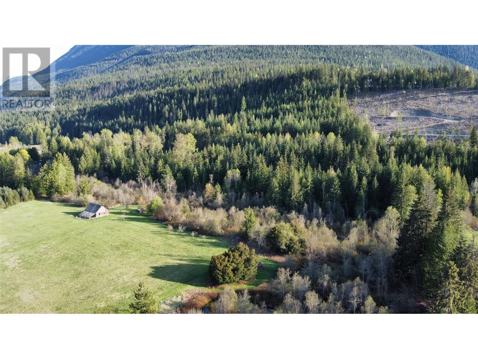 695 Brouse Loop Road Lot# 2, Nakusp, British Columbia  V0G 1R1 - Photo 33 - 10345801