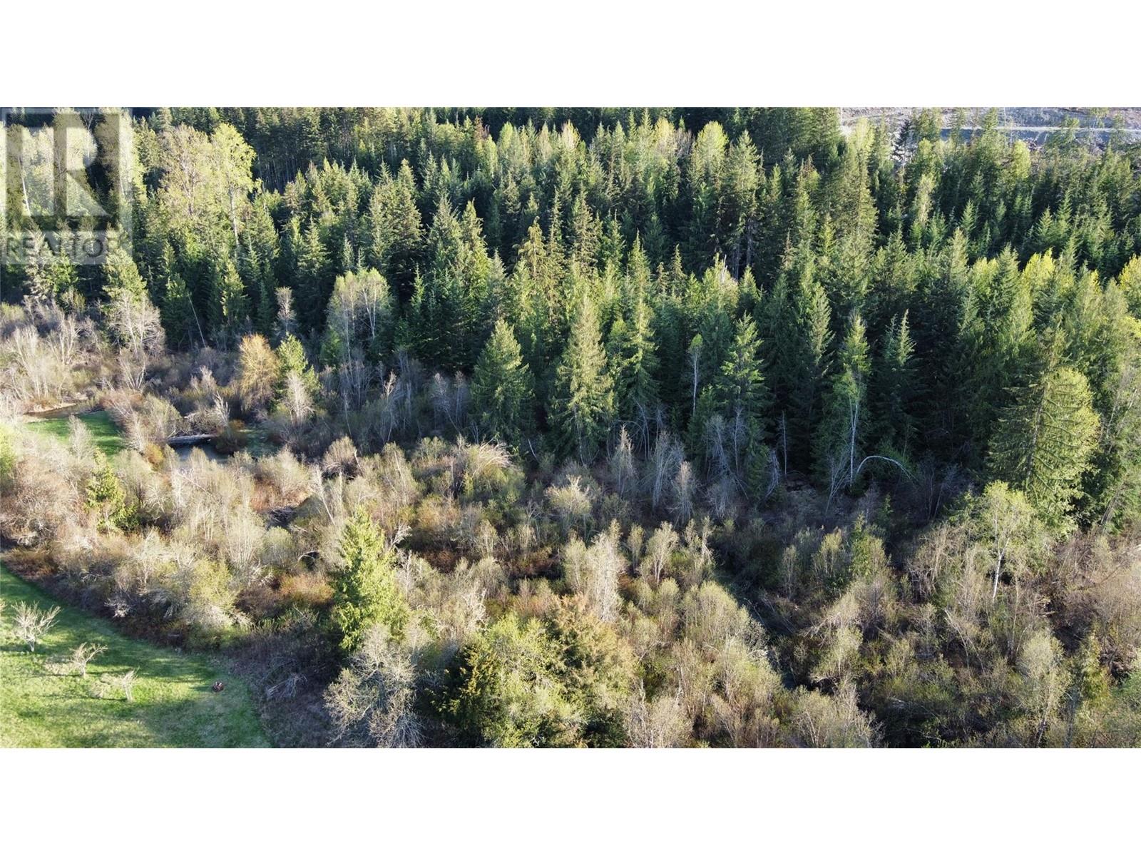 695 Brouse Loop Road Lot# 2, Nakusp, British Columbia  V0G 1R1 - Photo 34 - 10345801