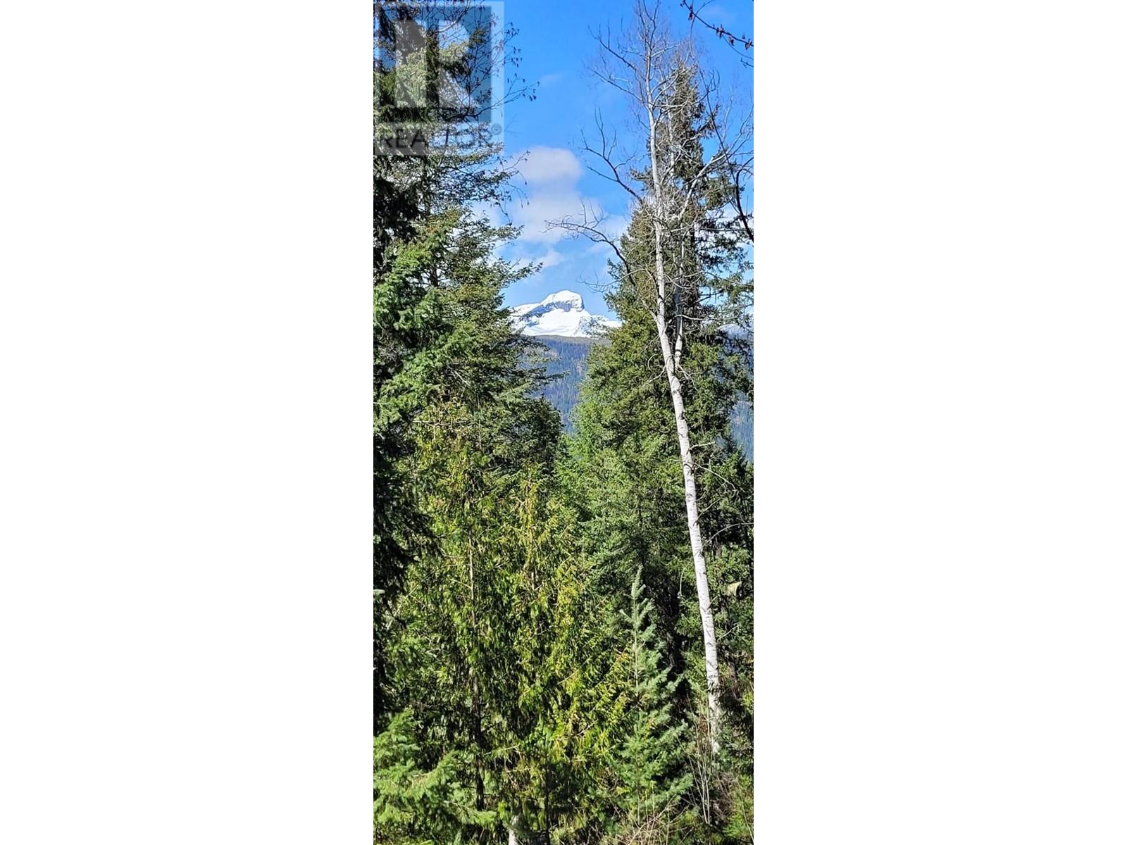 7152 Graham Road, Winlaw, British Columbia  V0G 2J0 - Photo 34 - 10344839