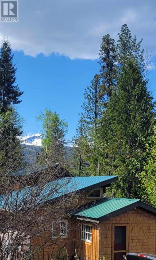7152 Graham Road, Winlaw, British Columbia  V0G 2J0 - Photo 6 - 10344839