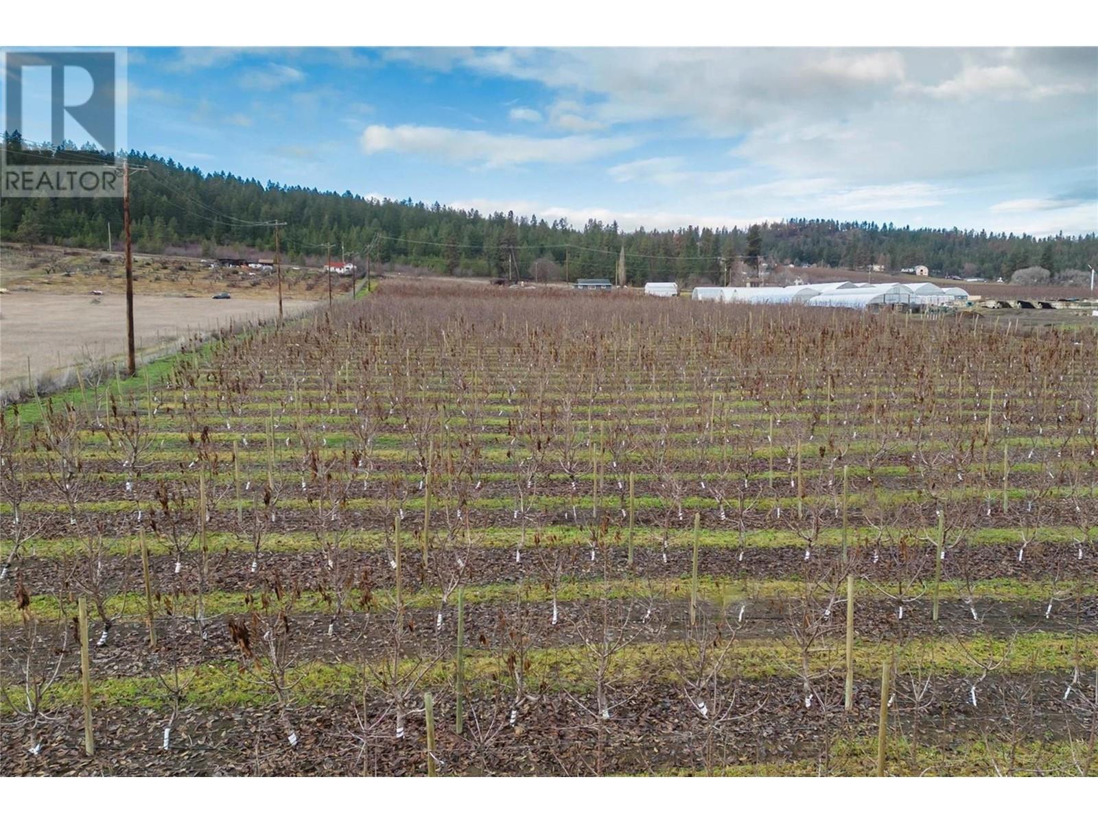 4295 Shanks Road, Kelowna, British Columbia  V4V 1M3 - Photo 5 - 10345057