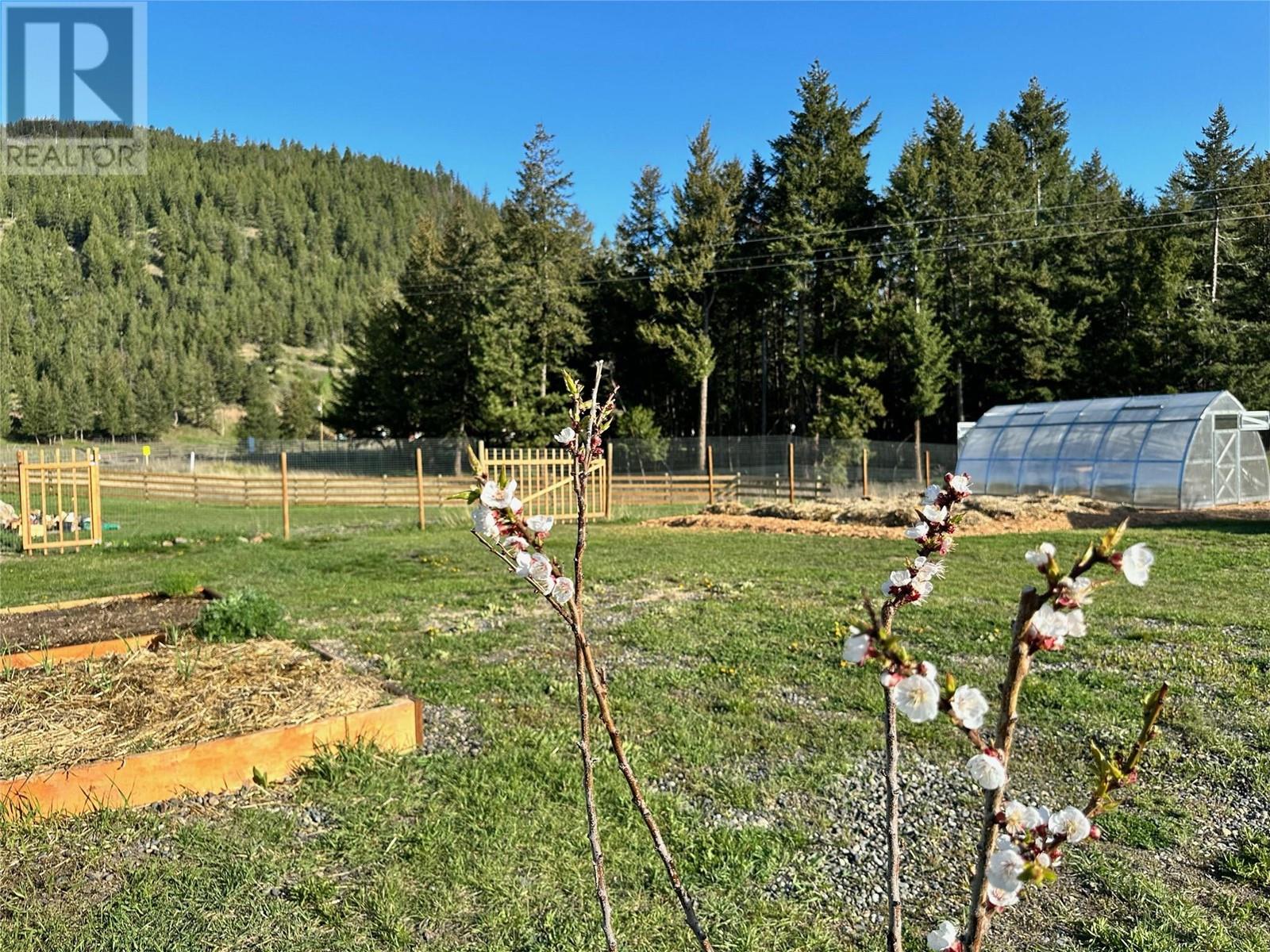 2939 Wetaskiwin Road, Falkland, British Columbia  V0E 1W0 - Photo 3 - 10345493