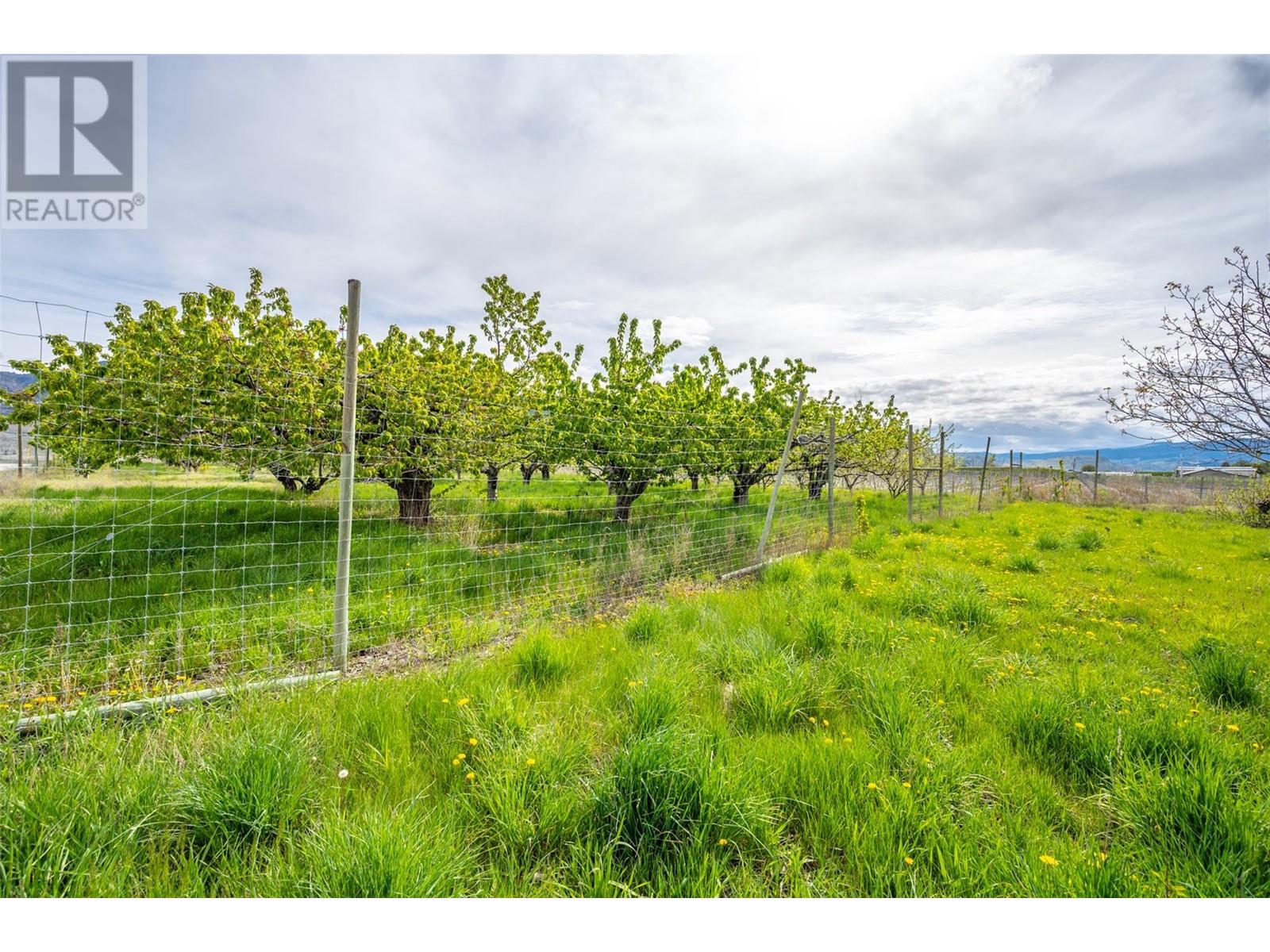 9723 160th Avenue, Osoyoos, British Columbia  V0H 1V0 - Photo 8 - 10346099