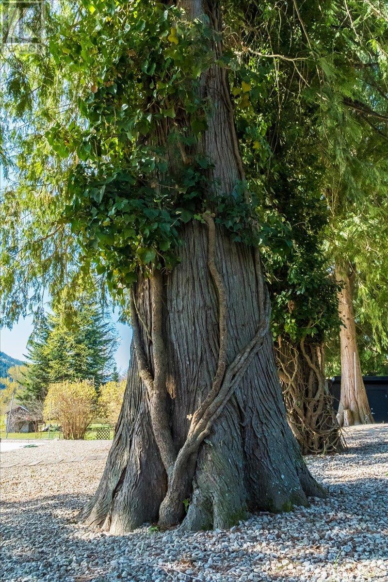 2836 Lower Six Mile Road, Nelson, British Columbia  V1L 6L6 - Photo 50 - 10342958