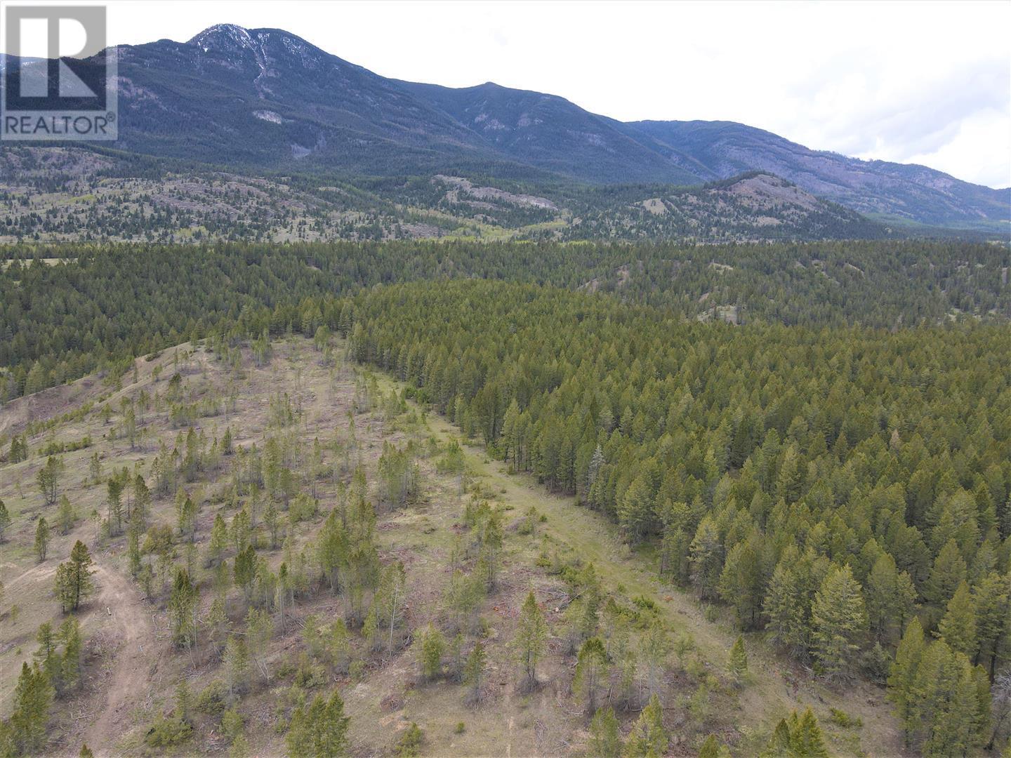 Lot 1 Hardie Creek Road, Fairmont Hot Springs, British Columbia  V0B 1L2 - Photo 17 - 10346136
