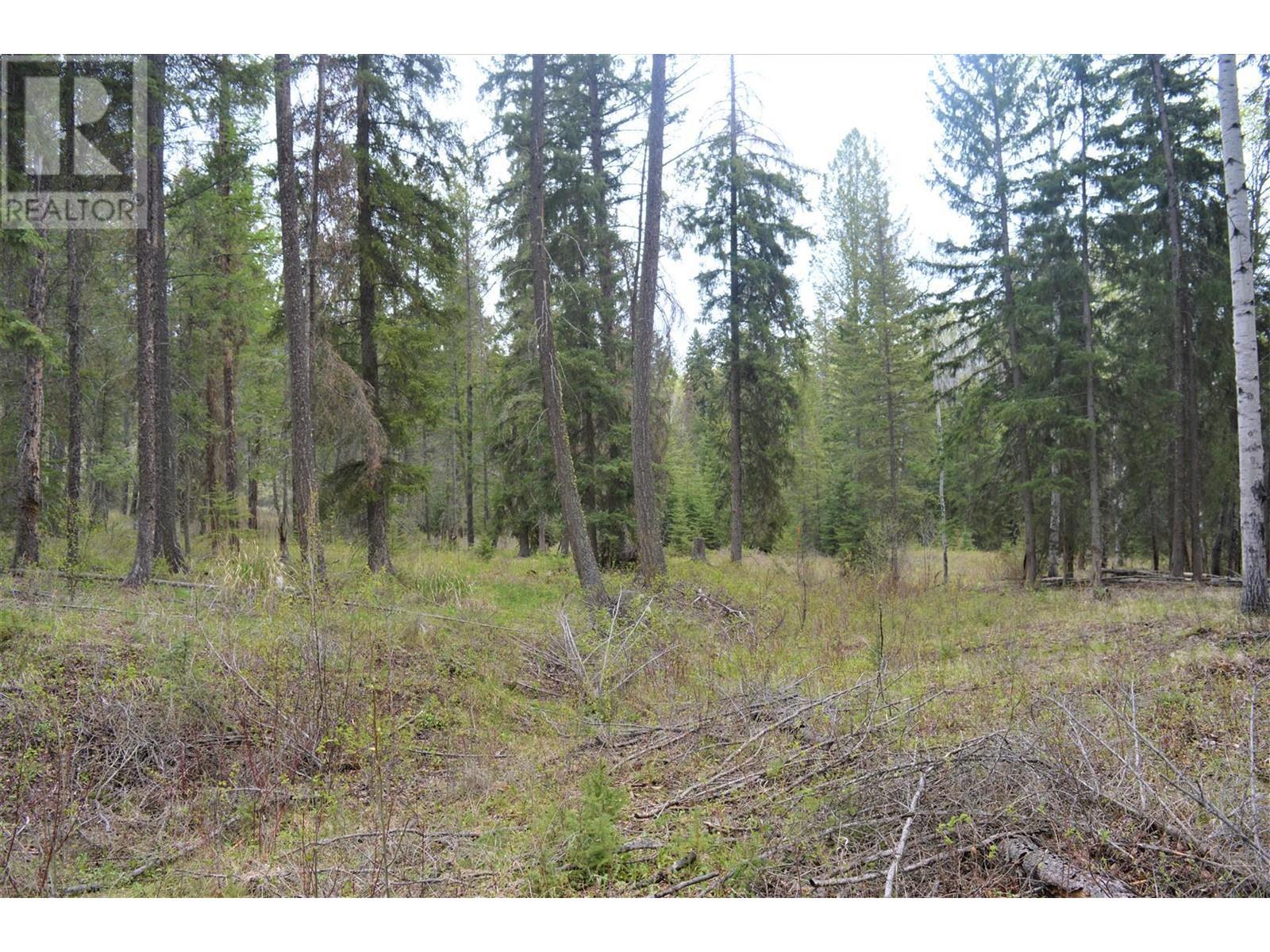 Lot 1 Hardie Creek Road, Fairmont Hot Springs, British Columbia  V0B 1L2 - Photo 26 - 10346136