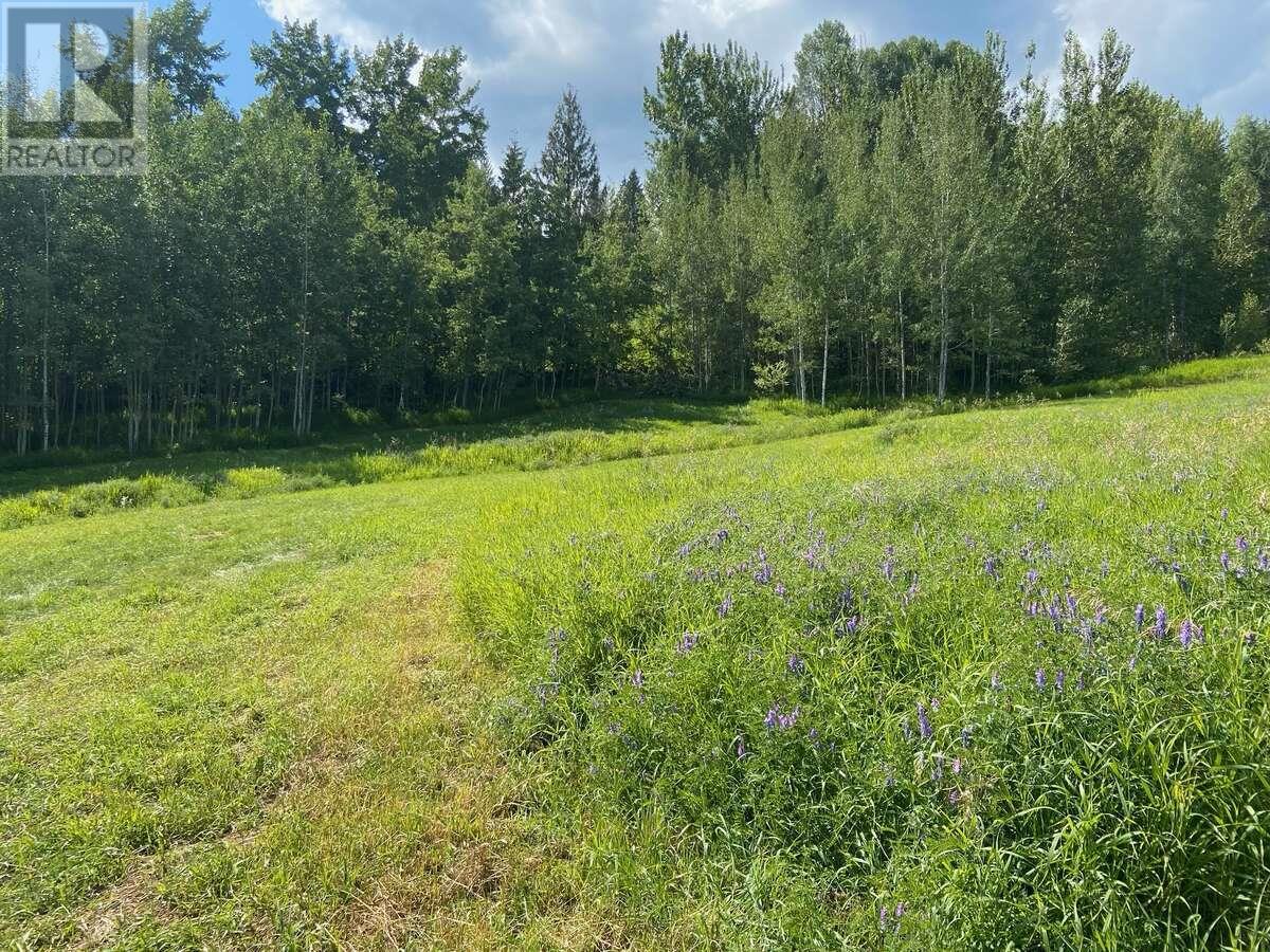 Lot 2 Happy Valley Road, Rossland, British Columbia  V0G 1Y0 - Photo 2 - 10346463