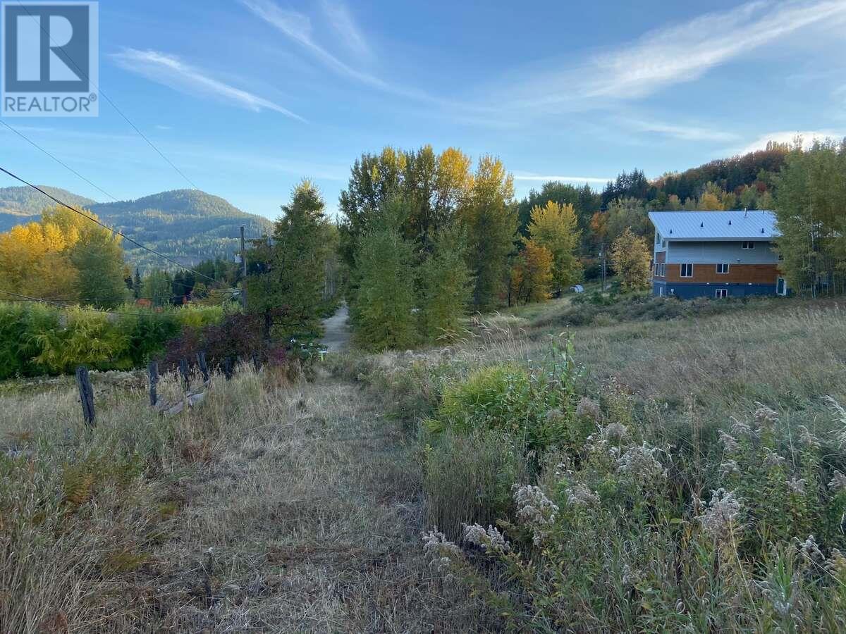 Lot 2 Happy Valley Road, Rossland, British Columbia  V0G 1Y0 - Photo 4 - 10346463