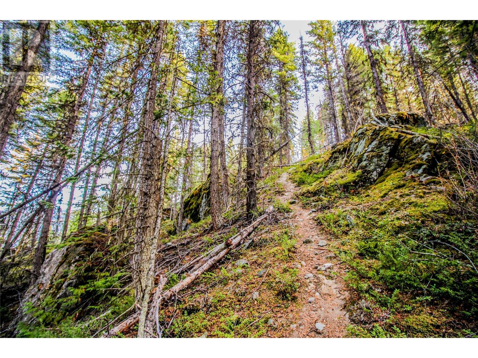 5319 East Barriere Lake Fs Road, Barriere, British Columbia  V0E 1E0 - Photo 37 - 10346461
