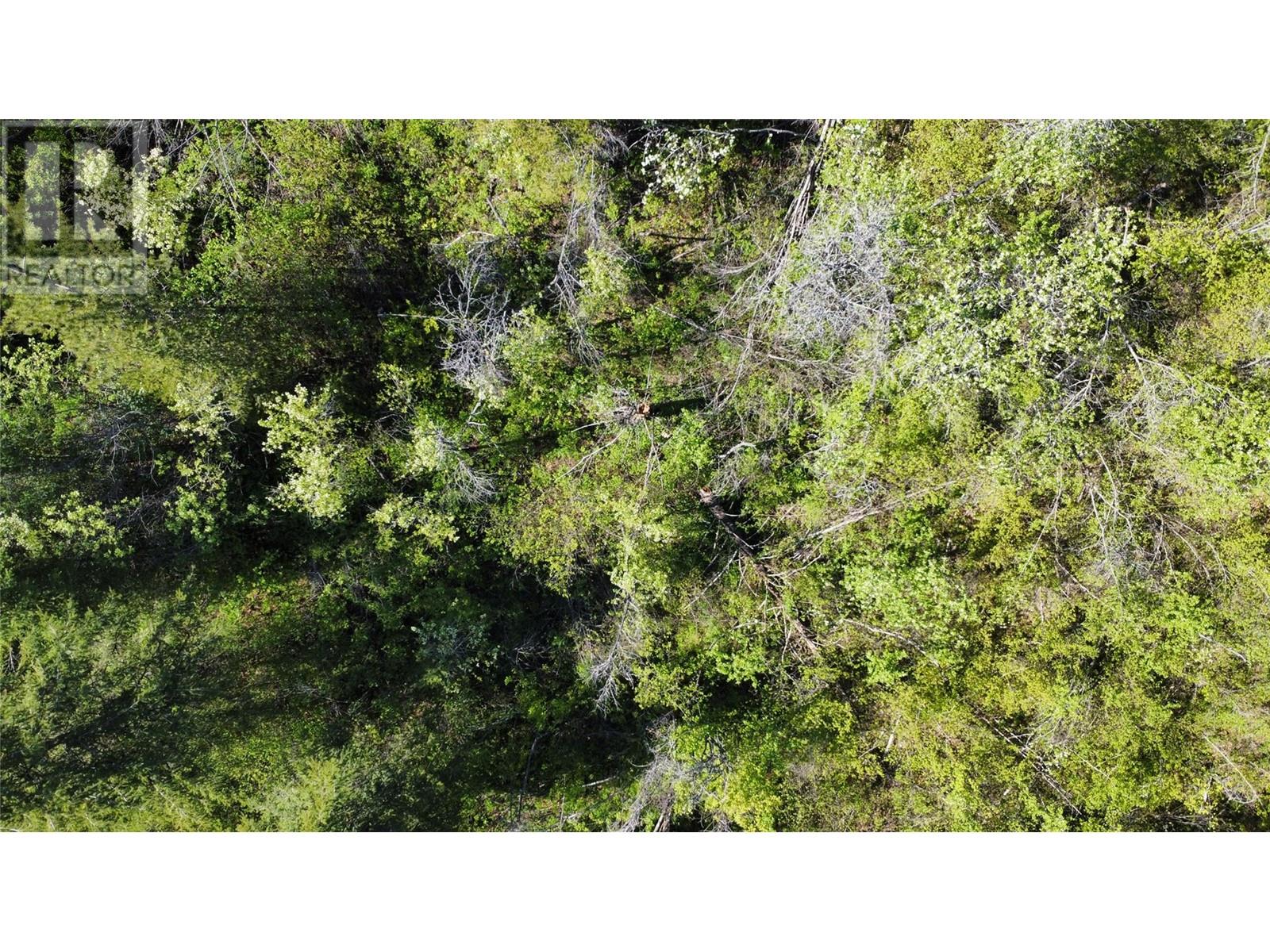 Lot B 3b Highway, Fruitvale, British Columbia  V0G 1L1 - Photo 14 - 10346481