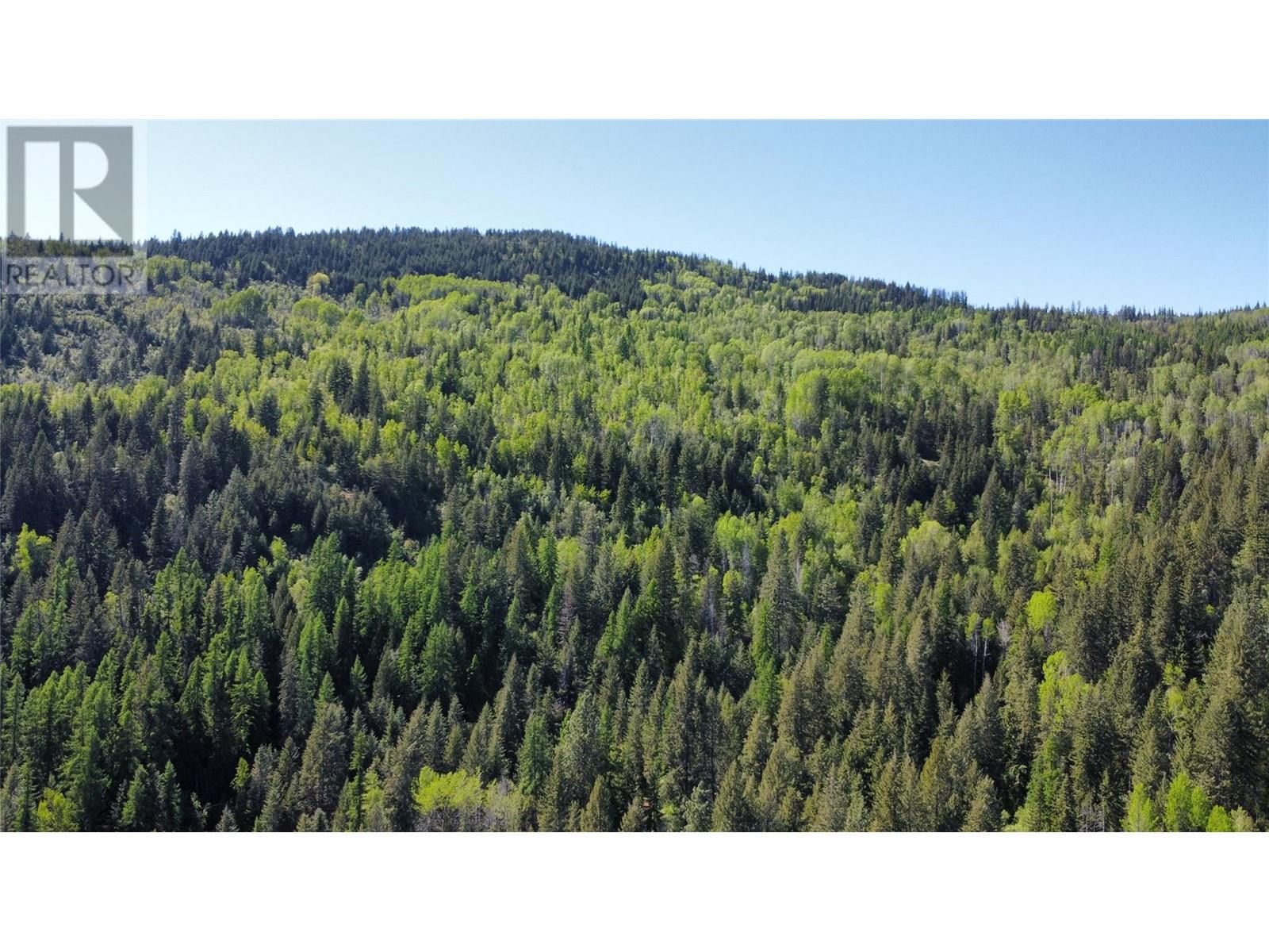 Lot B 3b Highway, Fruitvale, British Columbia  V0G 1L1 - Photo 5 - 10346481