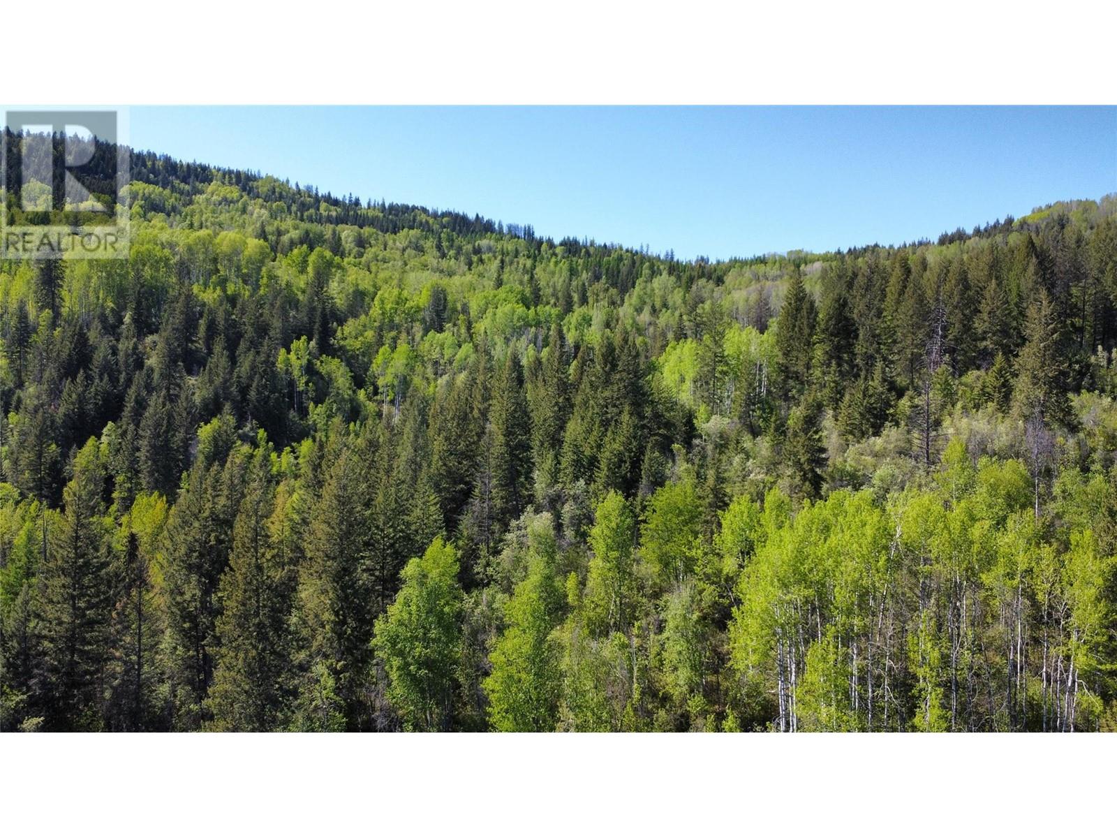 Lot B 3b Highway, Fruitvale, British Columbia  V0G 1L1 - Photo 6 - 10346481