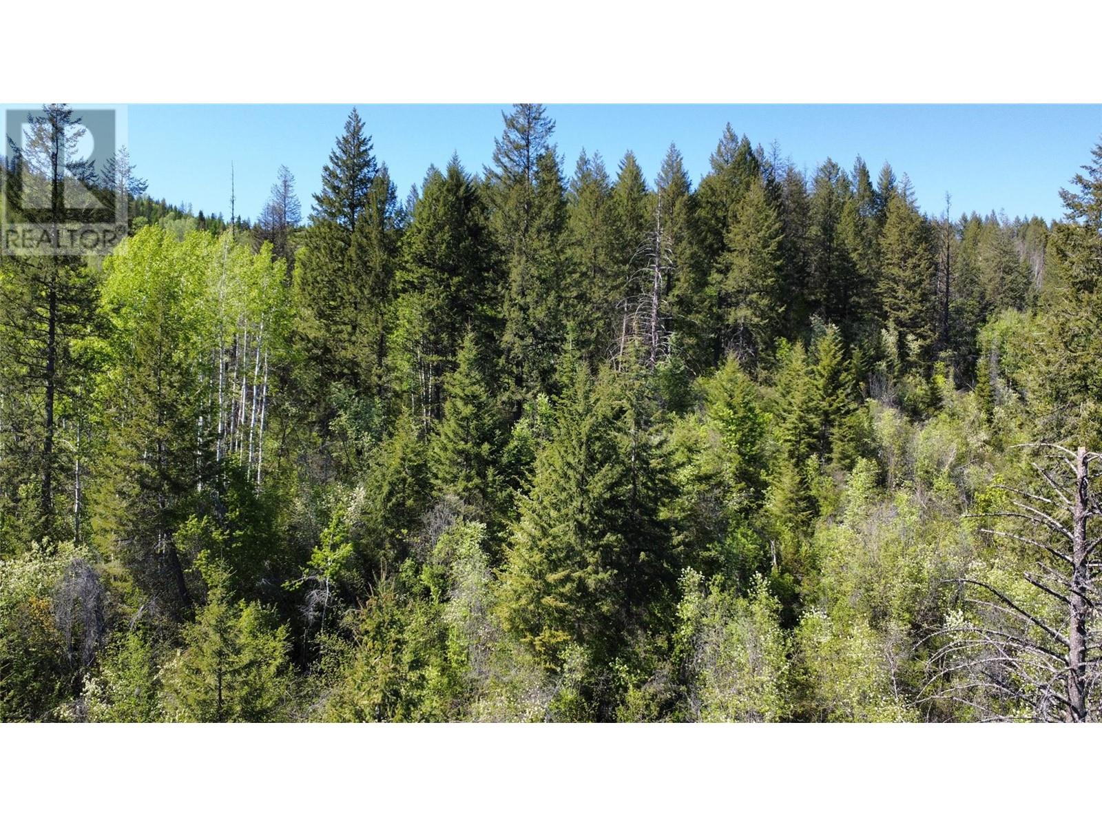 Lot B 3b Highway, Fruitvale, British Columbia  V0G 1L1 - Photo 9 - 10346481