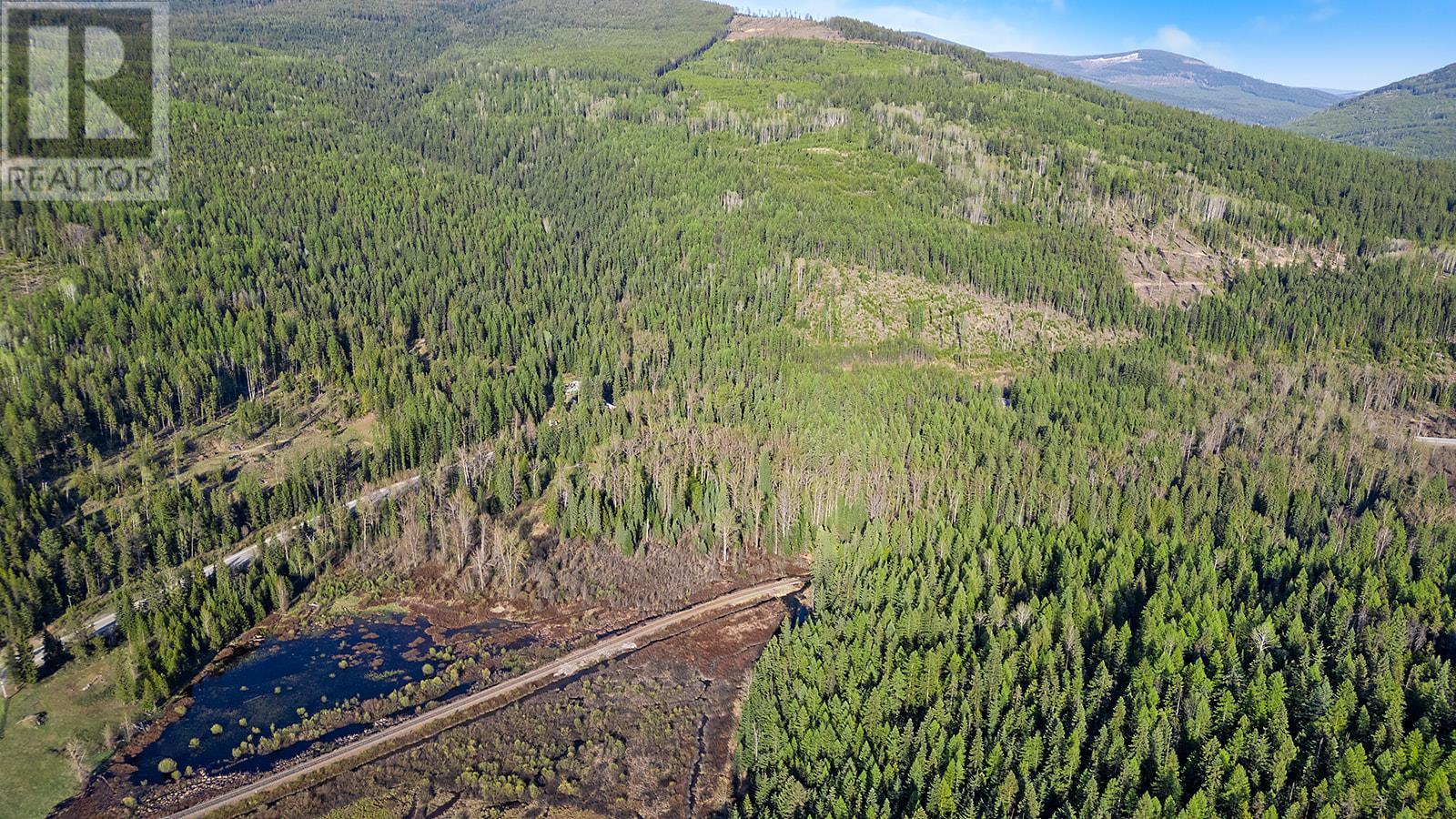 Dl4592 Highway 3 Highway, Kitchener, British Columbia  V0B 2P0 - Photo 11 - 10345534