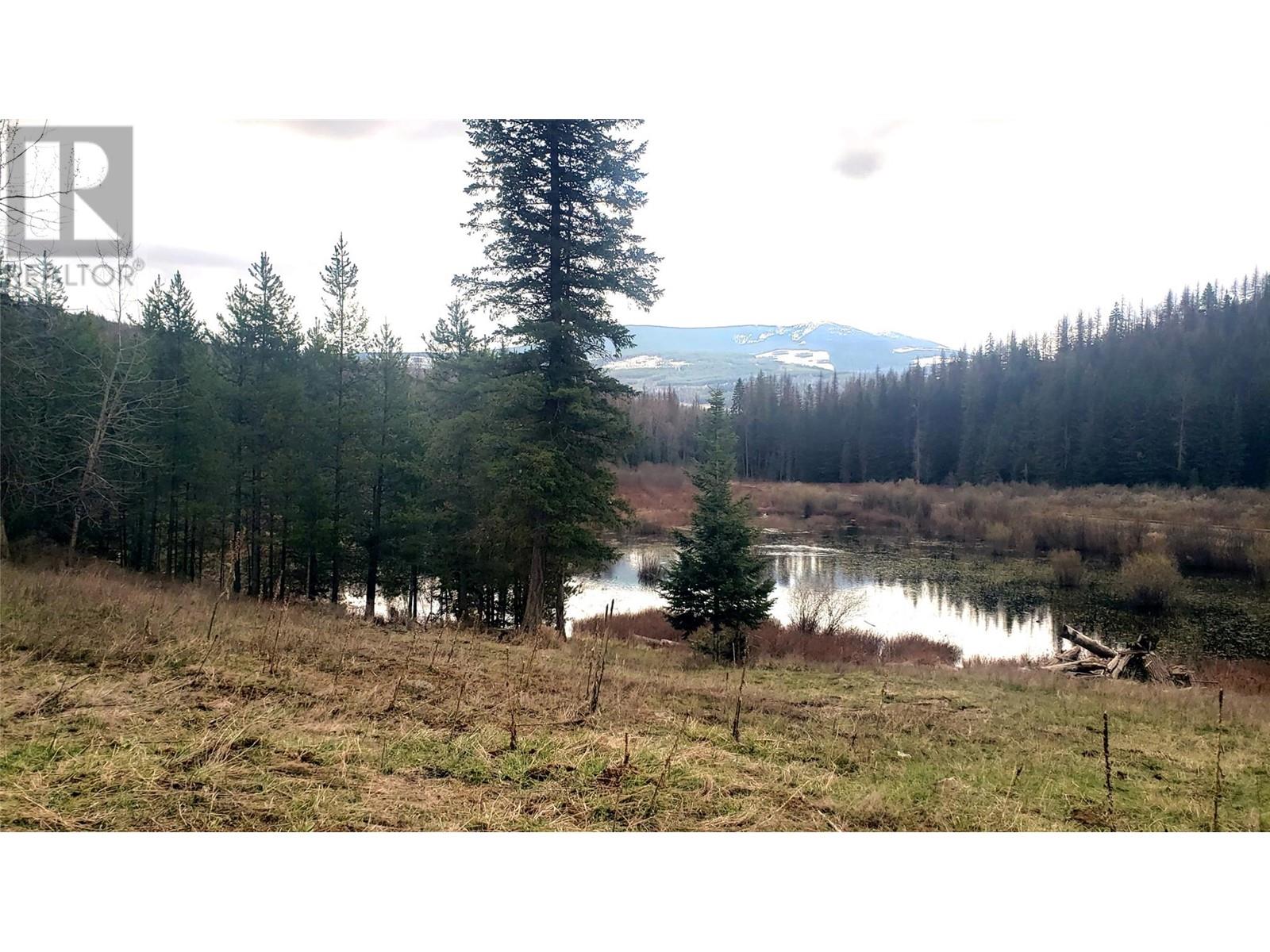 Dl4592 Highway 3 Highway, Kitchener, British Columbia  V0B 2P0 - Photo 2 - 10345534
