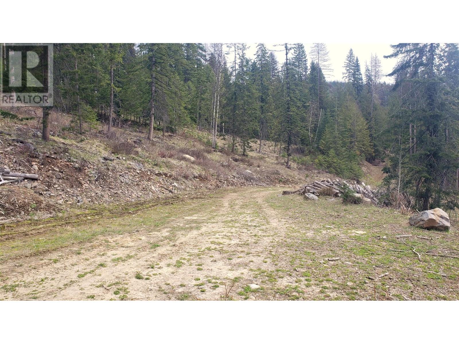 Dl4592 Highway 3 Highway, Kitchener, British Columbia  V0B 2P0 - Photo 3 - 10345534