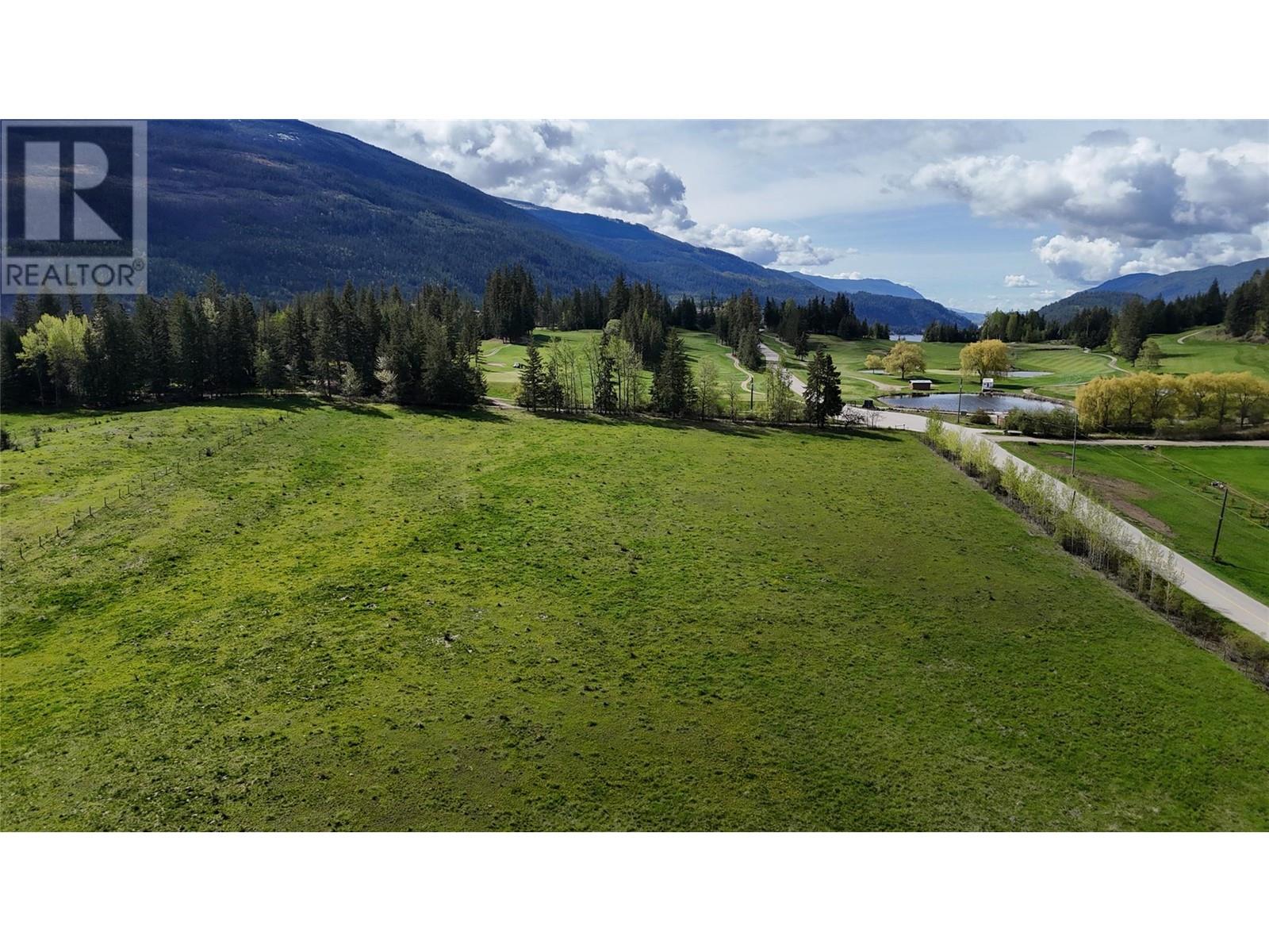 9898 Old Spallumcheen Road, Sicamous, British Columbia  V0E 2V3 - Photo 10 - 10346490