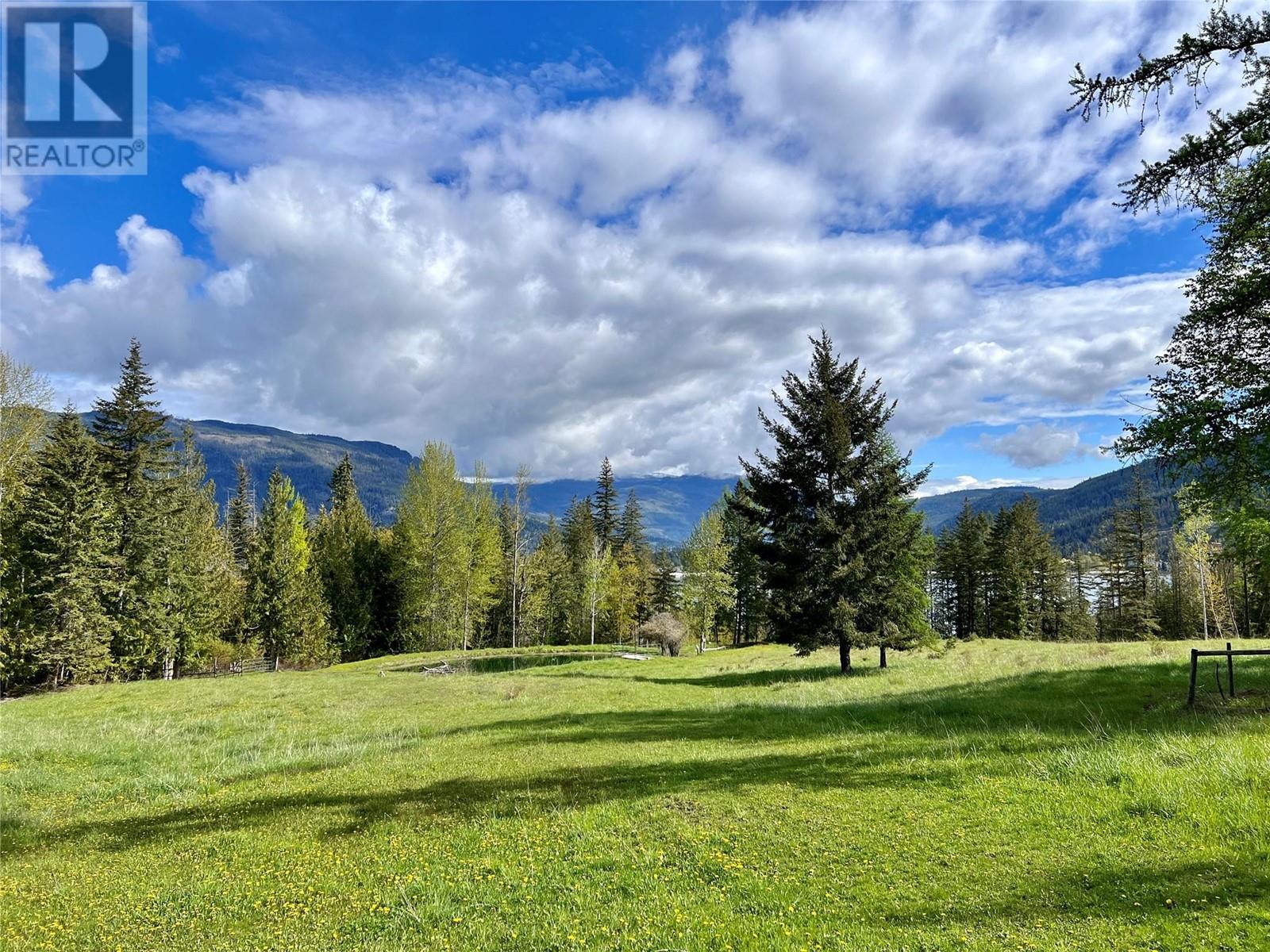 9898 Old Spallumcheen Road, Sicamous, British Columbia  V0E 2V3 - Photo 40 - 10346490