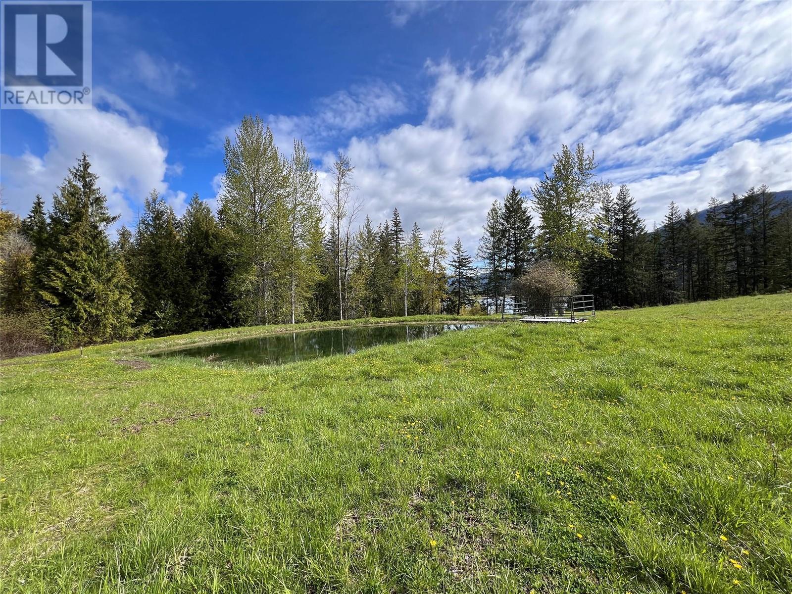 9898 Old Spallumcheen Road, Sicamous, British Columbia  V0E 2V3 - Photo 41 - 10346490