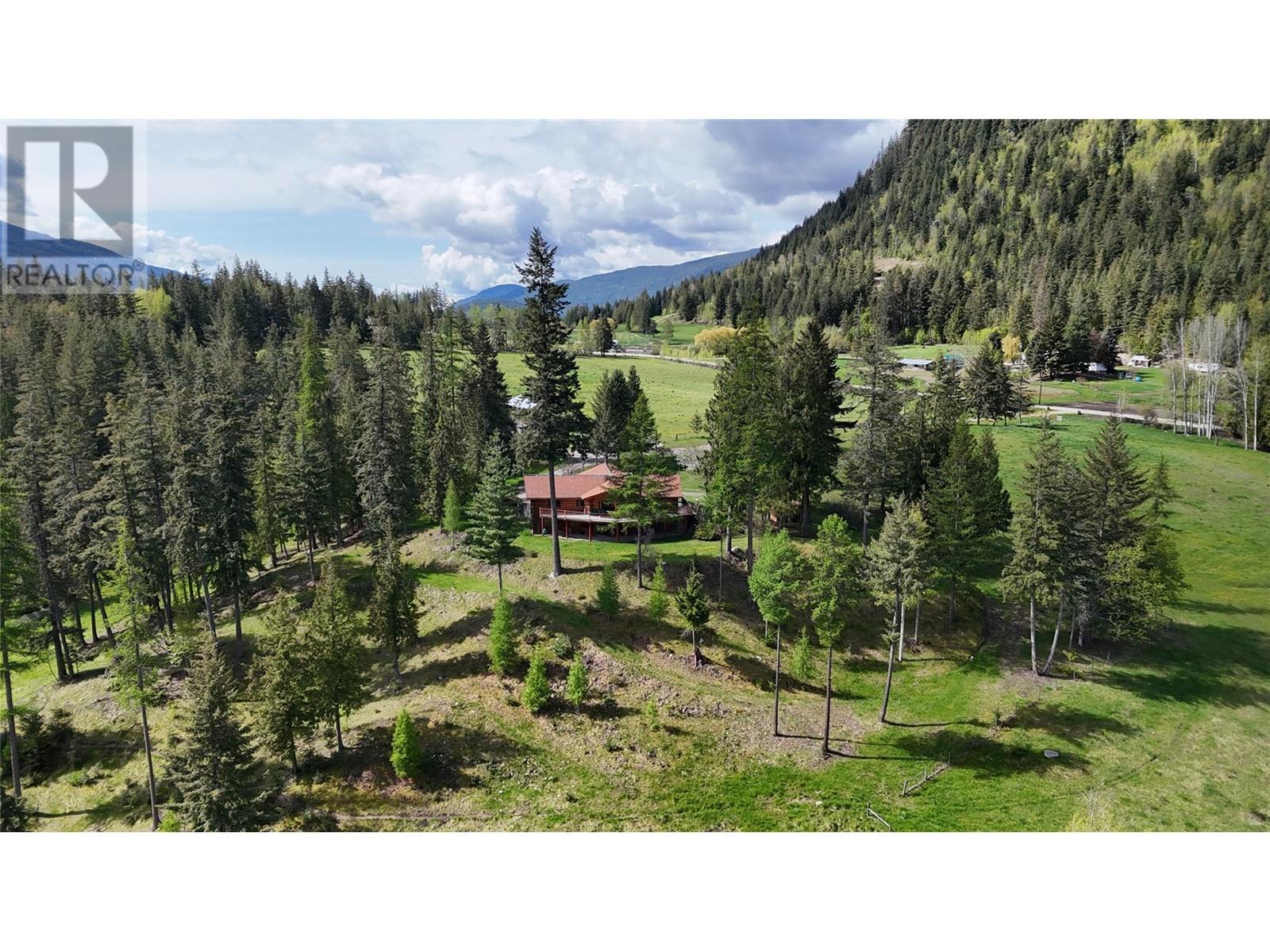 9898 Old Spallumcheen Road, Sicamous, British Columbia  V0E 2V3 - Photo 6 - 10346490