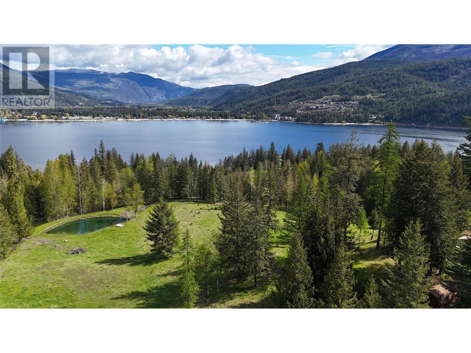 9898 Old Spallumcheen Road, Sicamous, British Columbia  V0E 2V3 - Photo 8 - 10346490