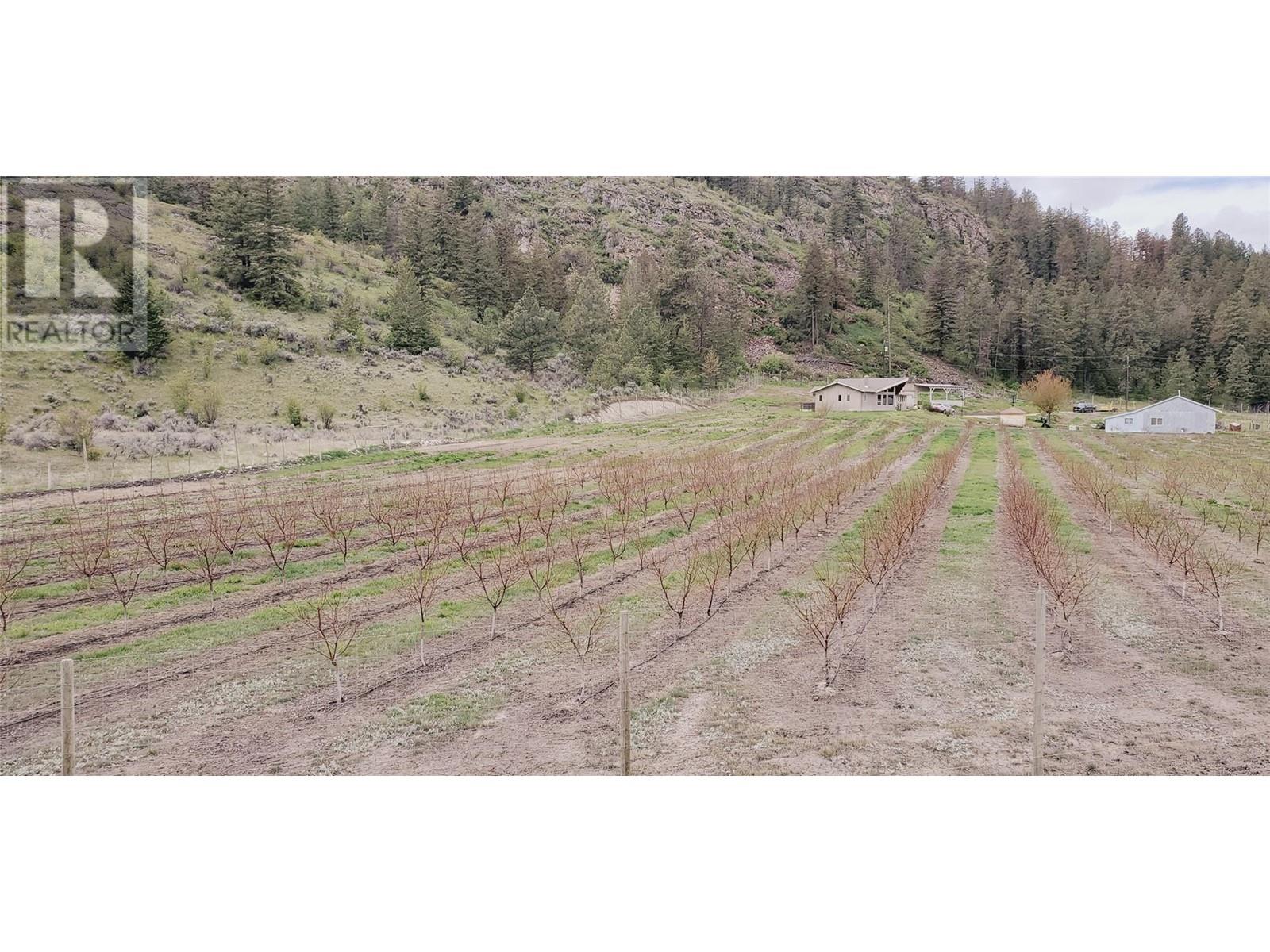 13969 Old Richter Pass Road, Osoyoos, British Columbia  V0H 1V5 - Photo 35 - 10346631