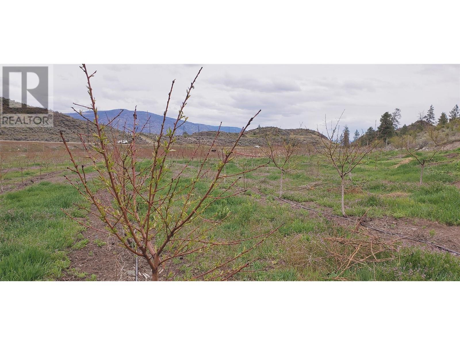 13969 Old Richter Pass Road, Osoyoos, British Columbia  V0H 1V5 - Photo 36 - 10346631
