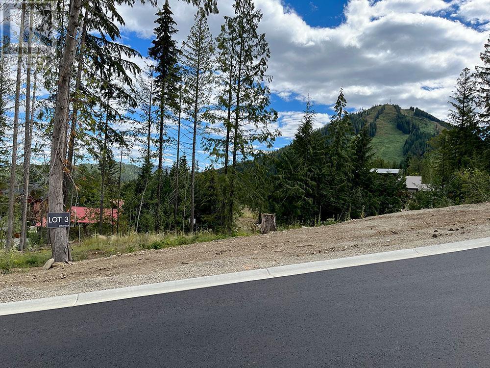 308 Ridge Road, Rossland, British Columbia  V0G 1Y0 - Photo 4 - 10346708