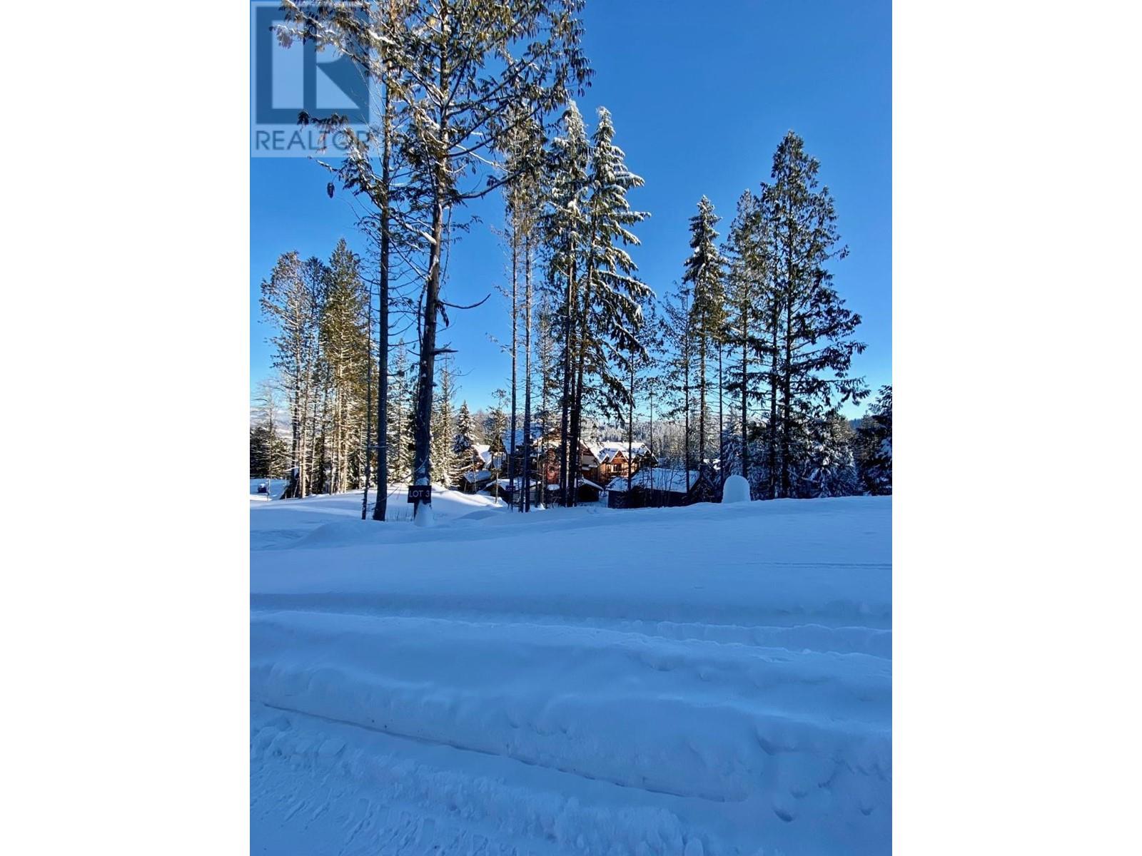 312 Ridge Road, Rossland, British Columbia  V0G 1Y0 - Photo 11 - 10346505